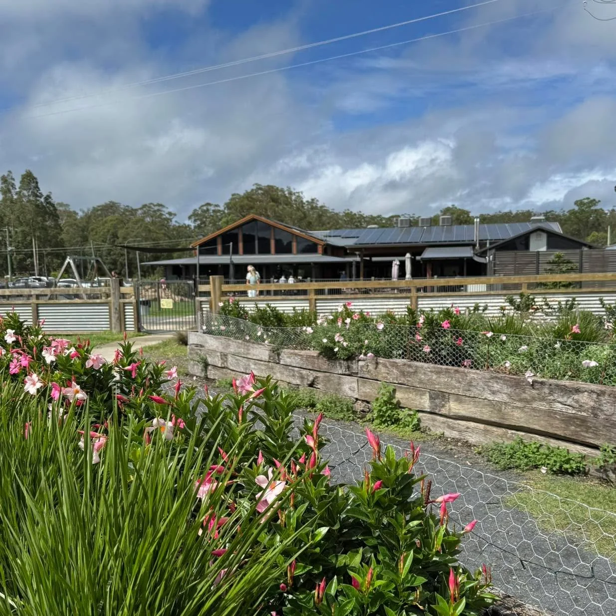 A shout out to Esther, who shared her expertise and then muscle with us when she redesigned our garden beds. The brief was, well, brief&hellip; &lsquo;Something pretty, long lasting, and minimal maintenance please?&rsquo; You got it in 1, Esther! 
#t