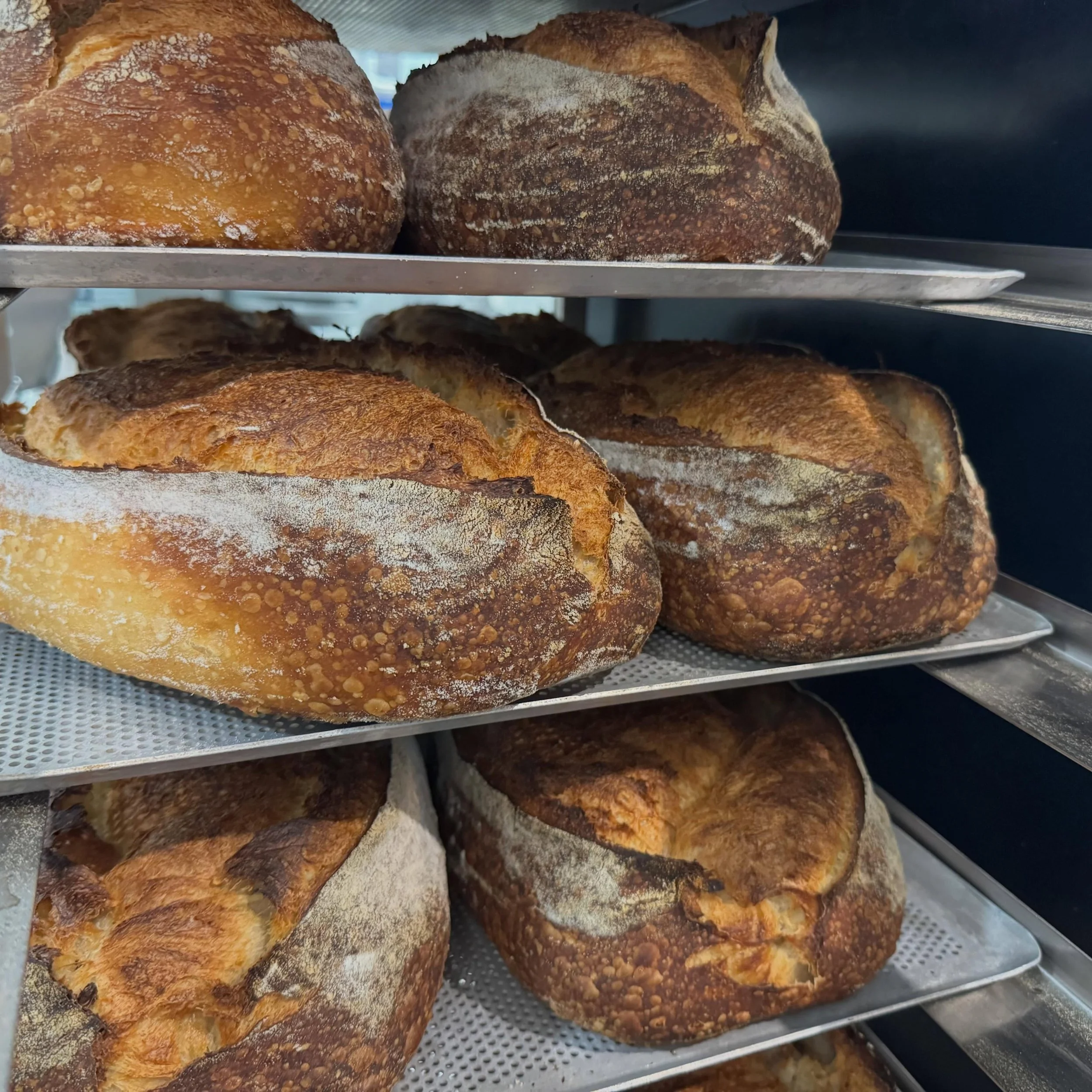 Our popular sourdough is back on our shop&rsquo;s shelves! Come on down to grab some for home&hellip; you might even find a few other delights while you&rsquo;re here!

#theartisanfarmernabiac #nabiac #barringtoncoast #midnorthcoastnsw #sourdough