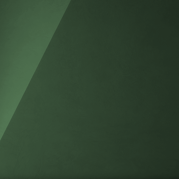 Employment and OHS Lawyer Geelong