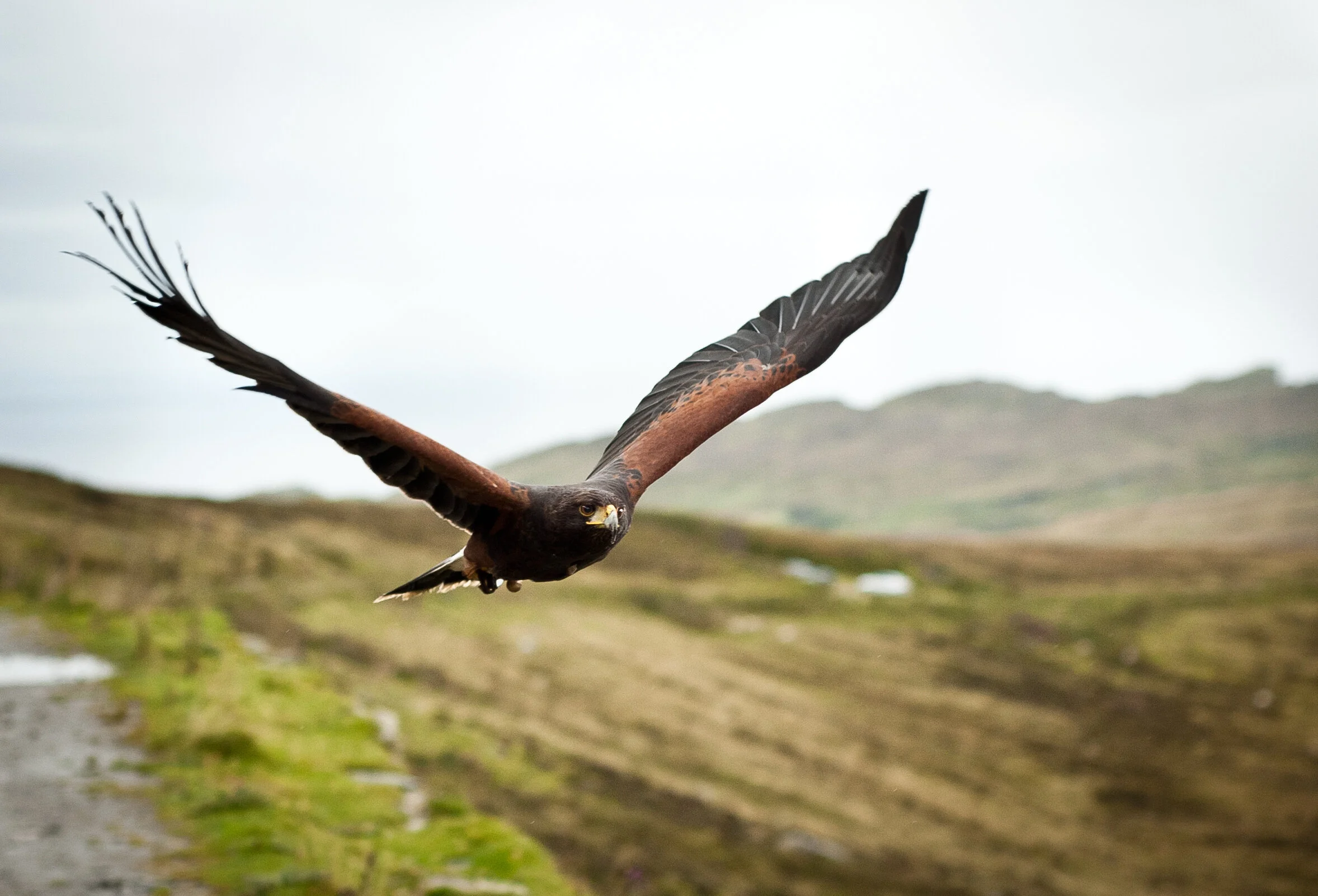 Harwood Andrews delighted by the appointment of Janet Dore as Chair of the firm