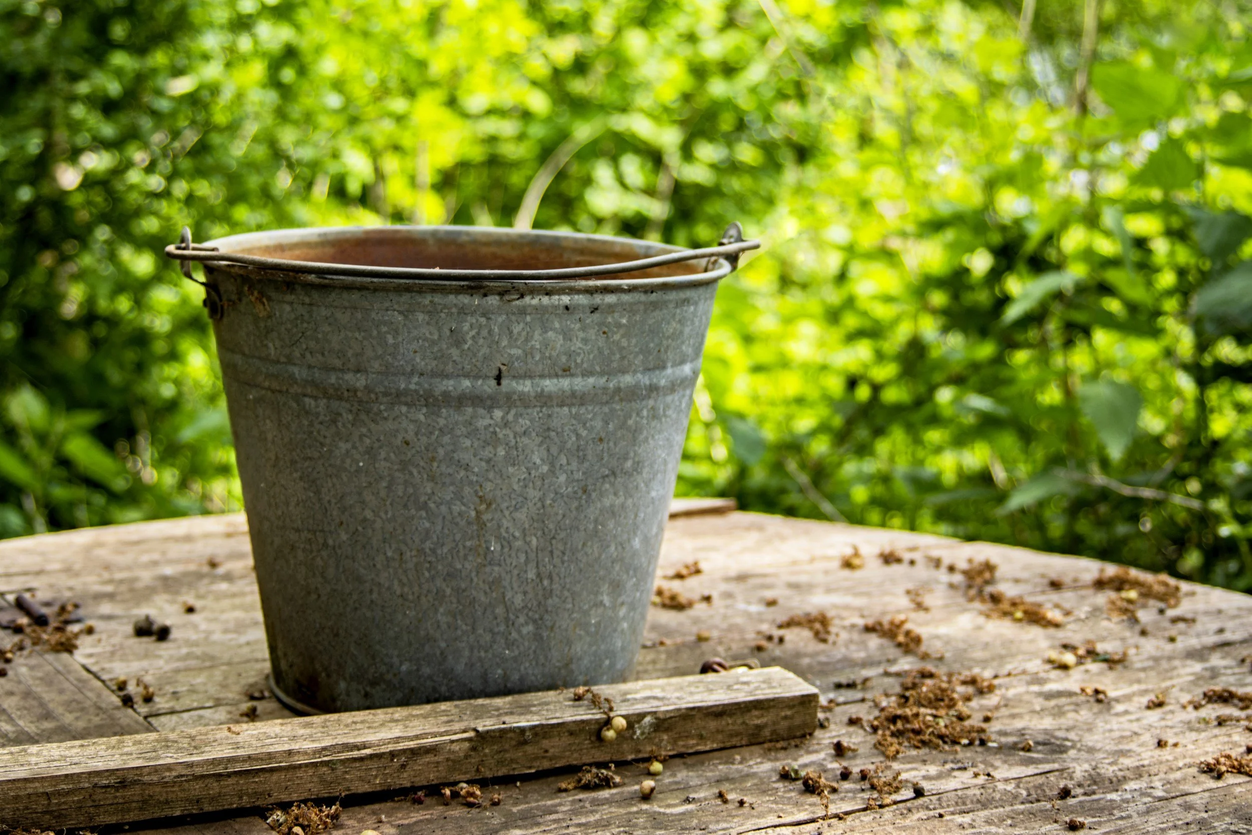 There’s a Hole in My Bucket…The Budget’s Minimum Tax on Discretionary Trusts and Bucket Companies