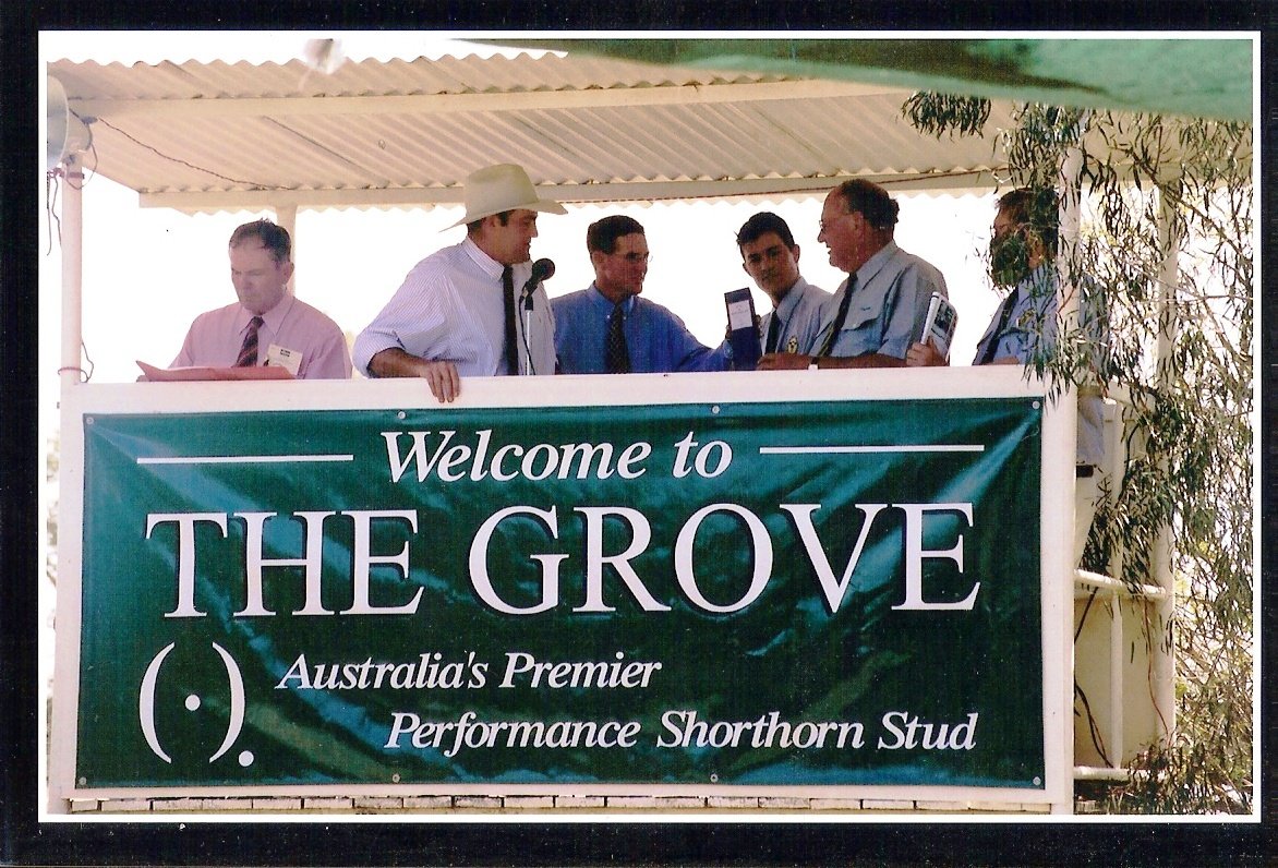 thegrove001.jpg