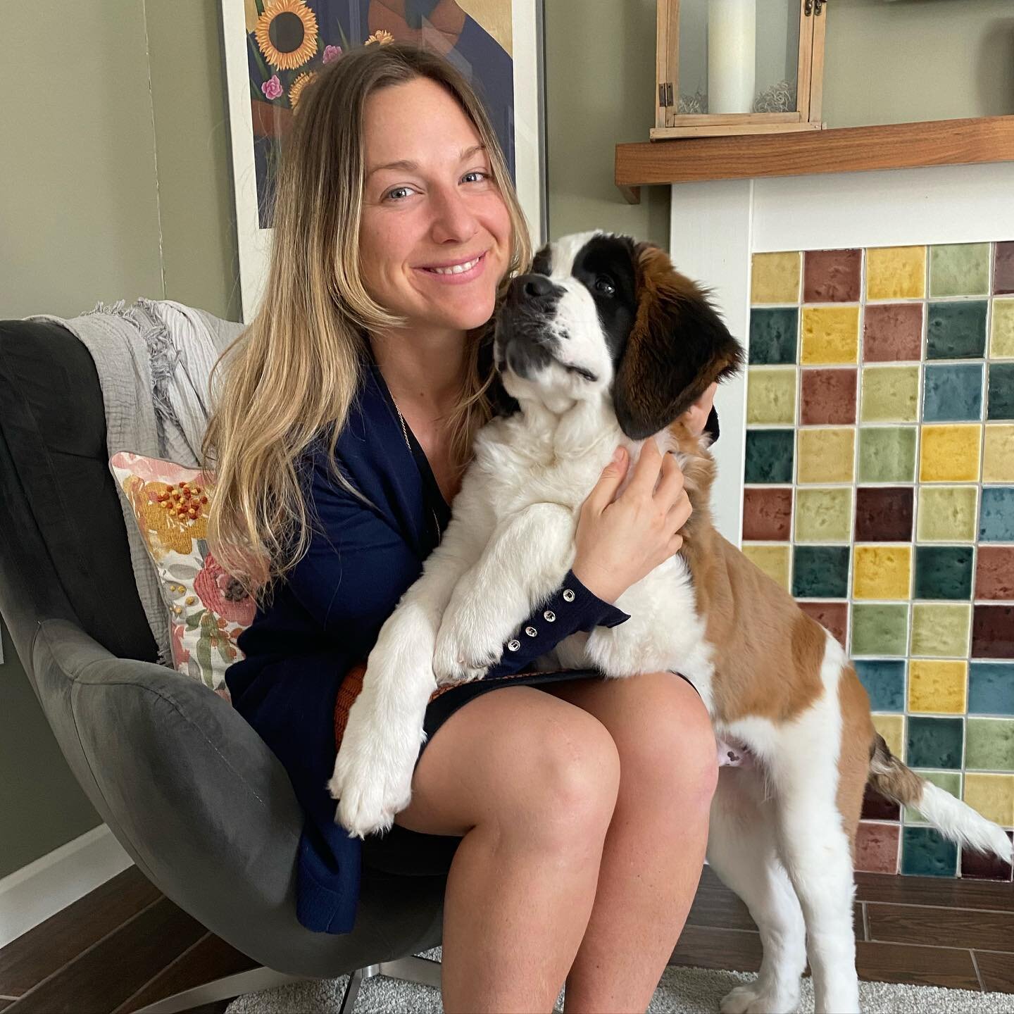 My office assistant gets distracted by treats, is too playful and frankly too cute for me to get any work done.  We have fun in our office. #lawoffice #saintbernard #puppy #saintpuppy #babyotis #4monthsold #ruralattorney #familylaw #civillitigation #