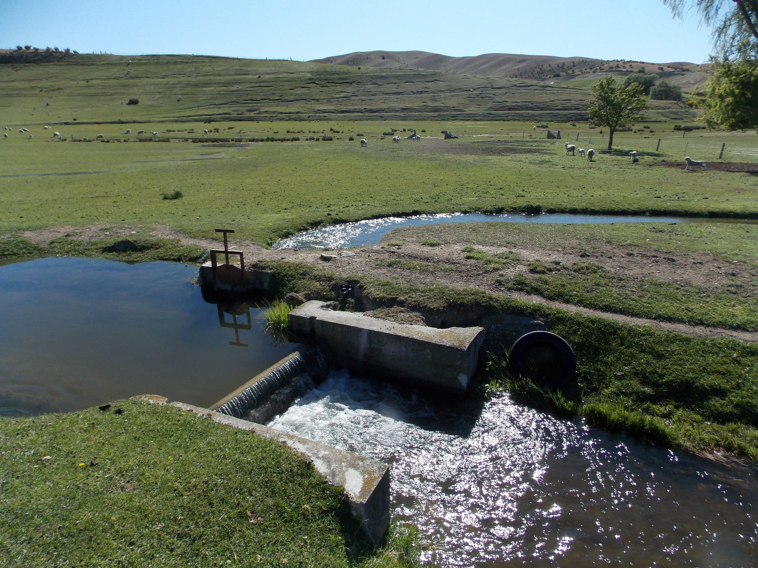 Irrigation Race
