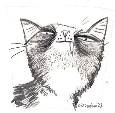 inktober10-15sm.jpg