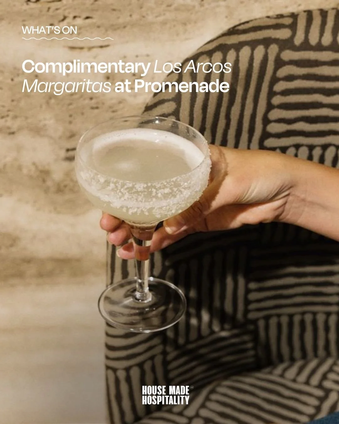 What's On in November at House Made ✨