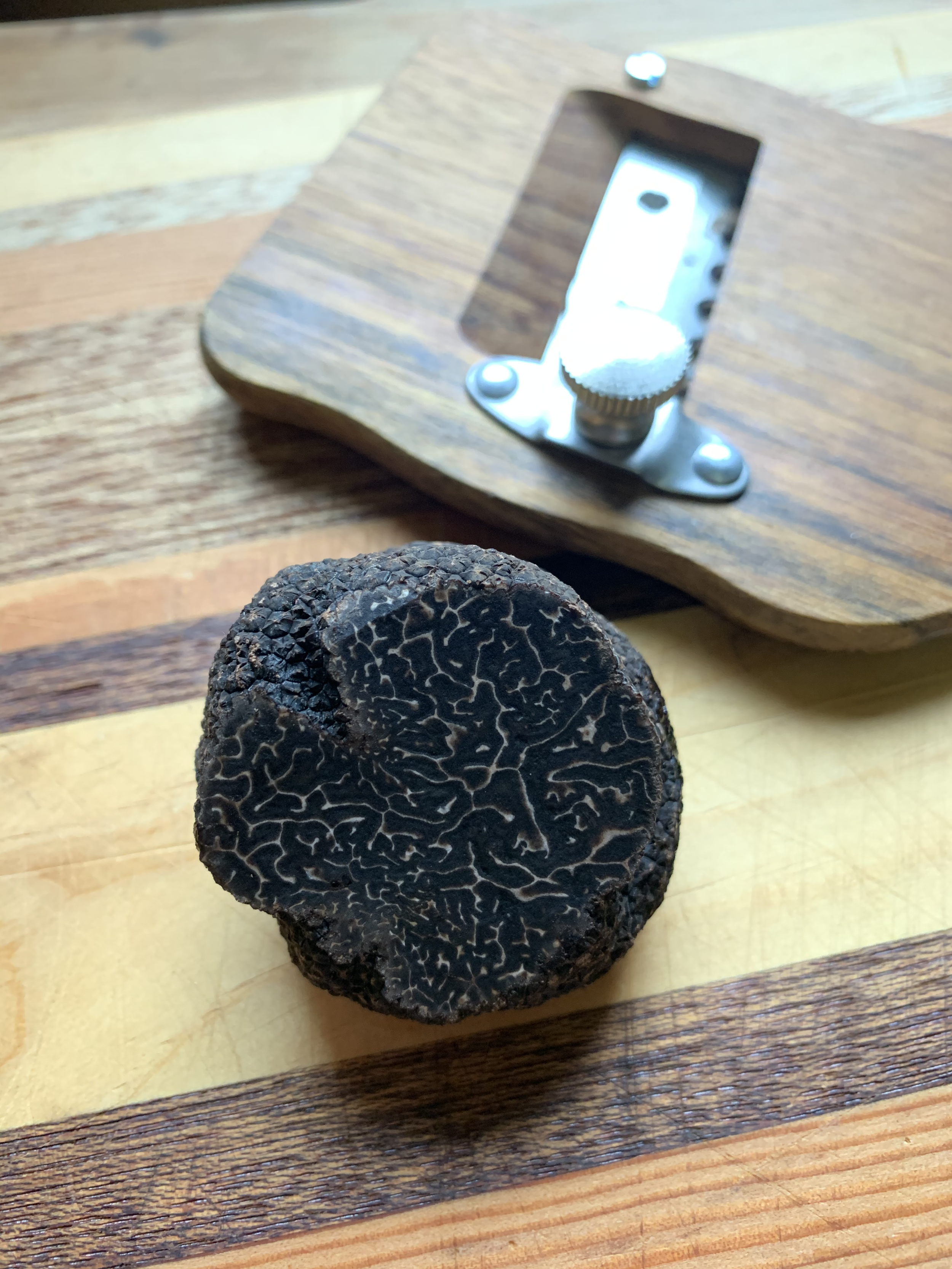 Ultimate Truffle Hunt, Tasting and Cooking Demonstration.png