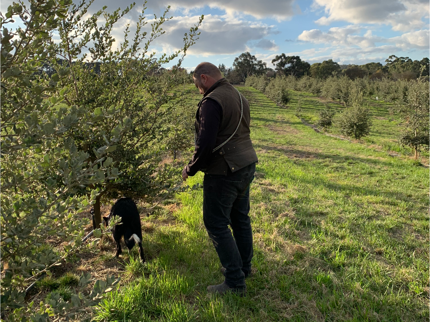 Truffle experience with dog hunt Adelaide Hills