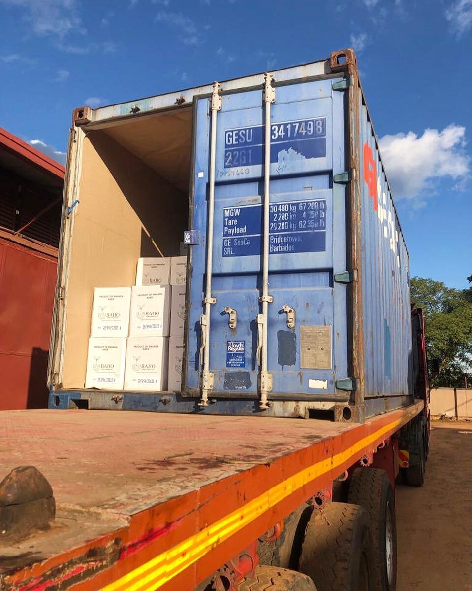📦 boxes en route📦

both of our containers from the 2023 harvest are officially moving! one is on the water + one is on the way to the port of Mombasa, Kenya. rn, irl. ETA January 2024 ✨

spot coffees are holding well and heavily discounted! washed 