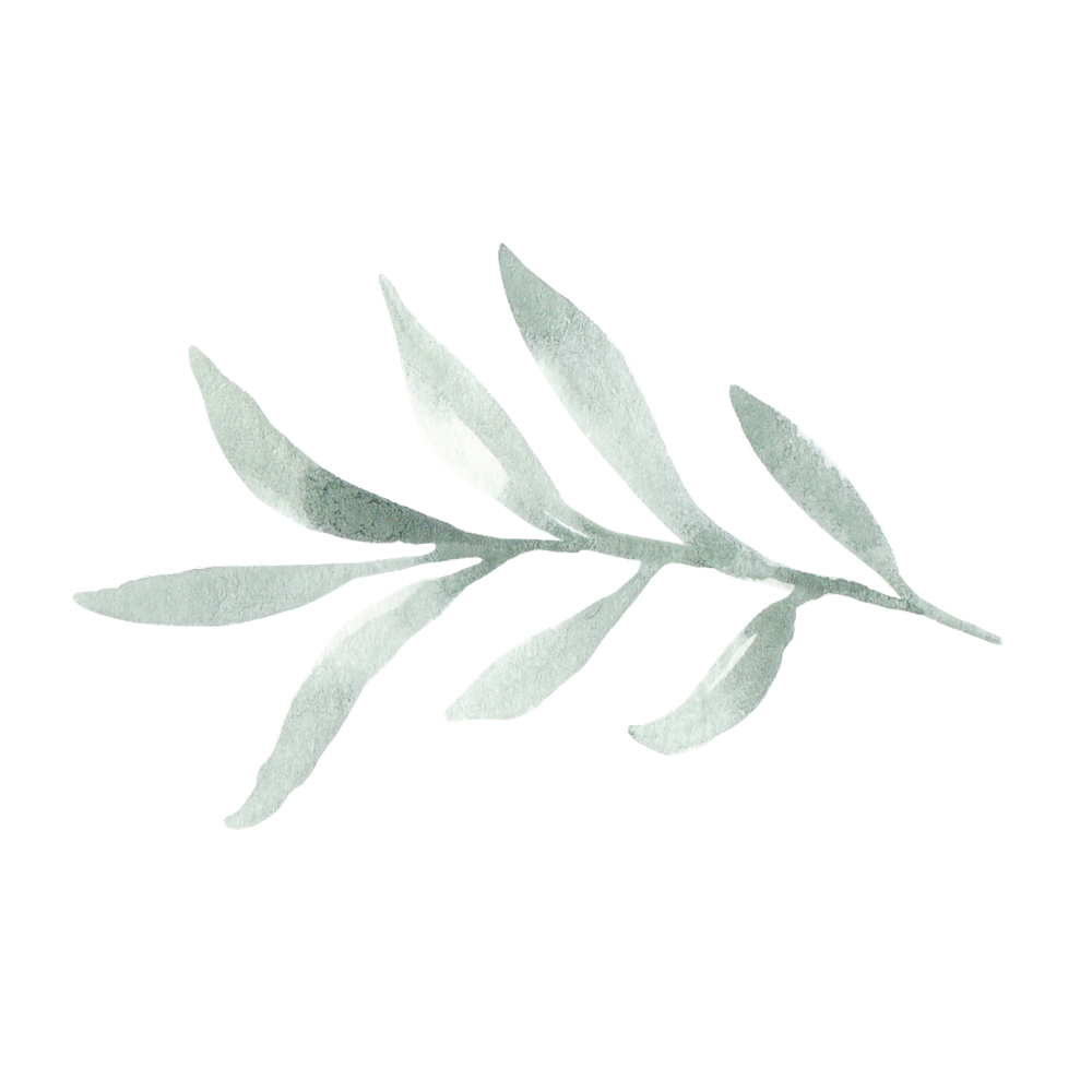 Hobart Yoga Classes Beginner to Advanced — Yoga with Bianca