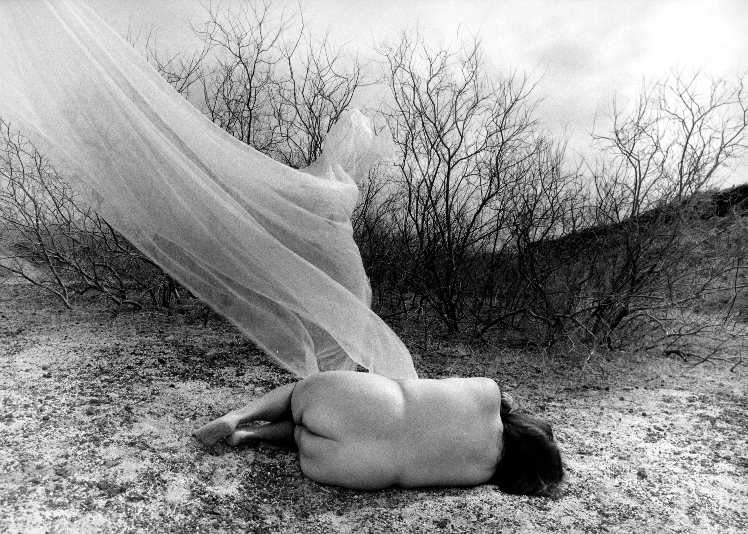 Stillness #25, 1999, Gelatin silver print, 11 x 14 in. 