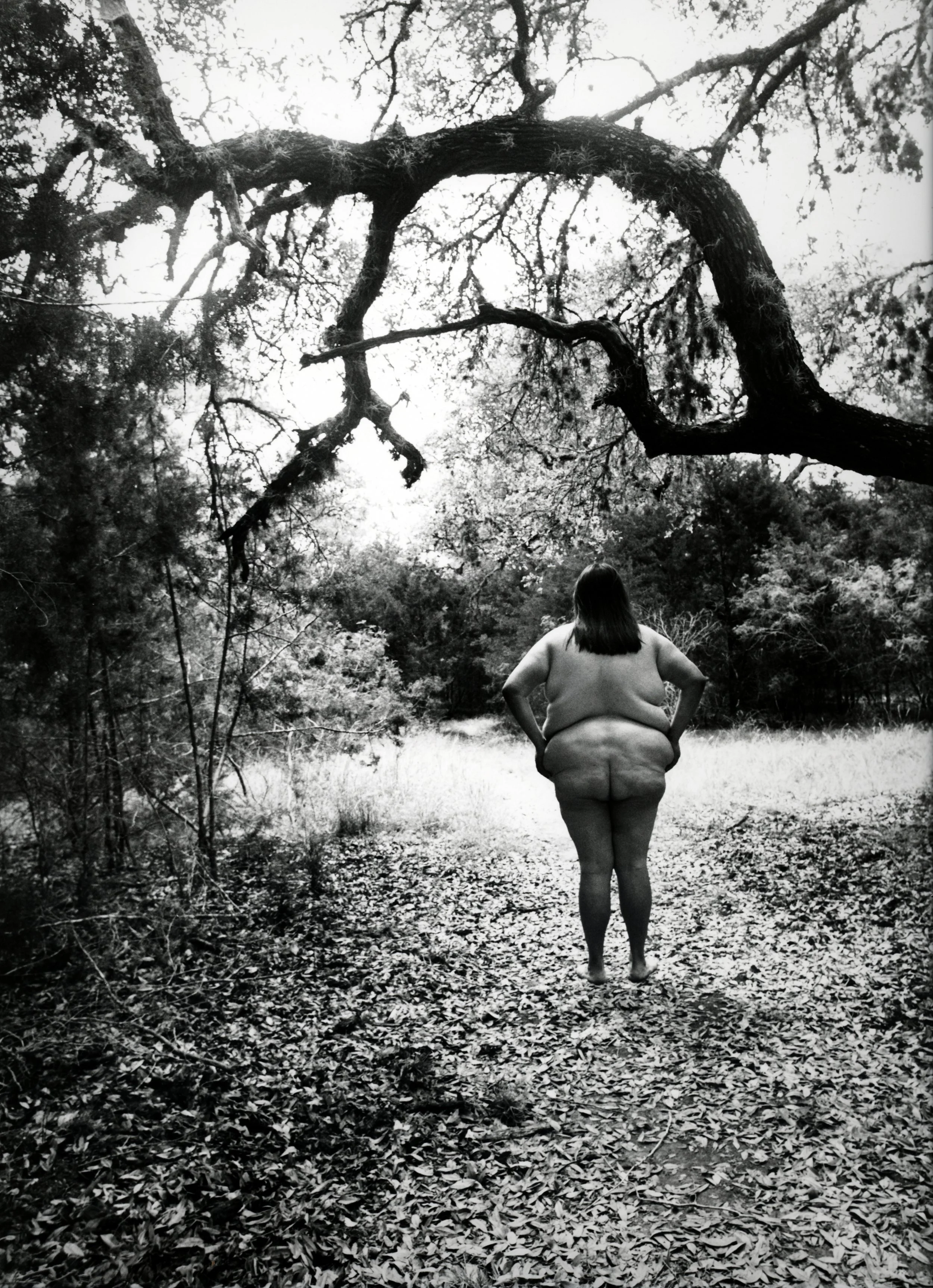 Stillness #41, 1999, Gelatin silver print, 14 x 11 in. 