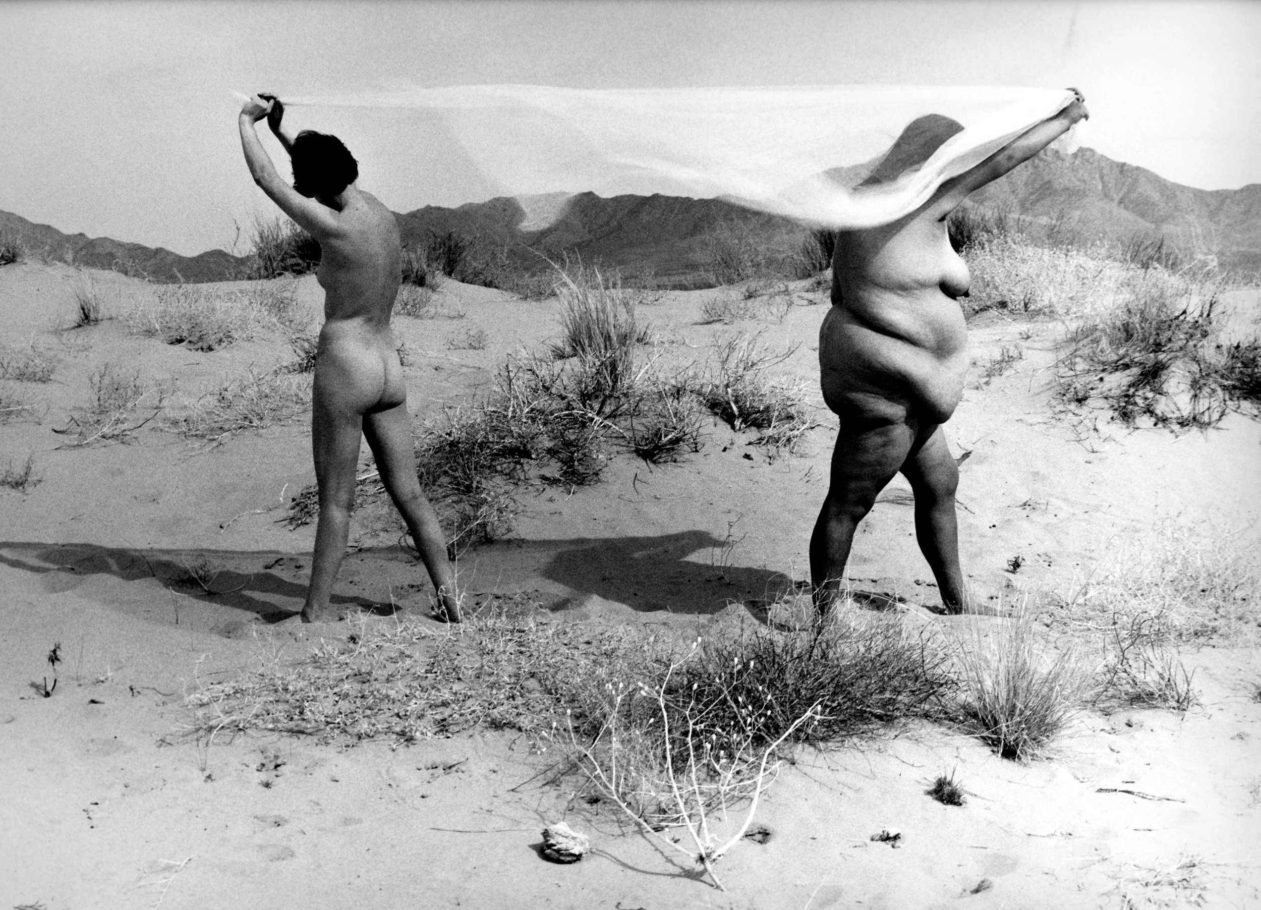 Stillness #26, 1999, Gelatin silver print, 11 x 14 in. 