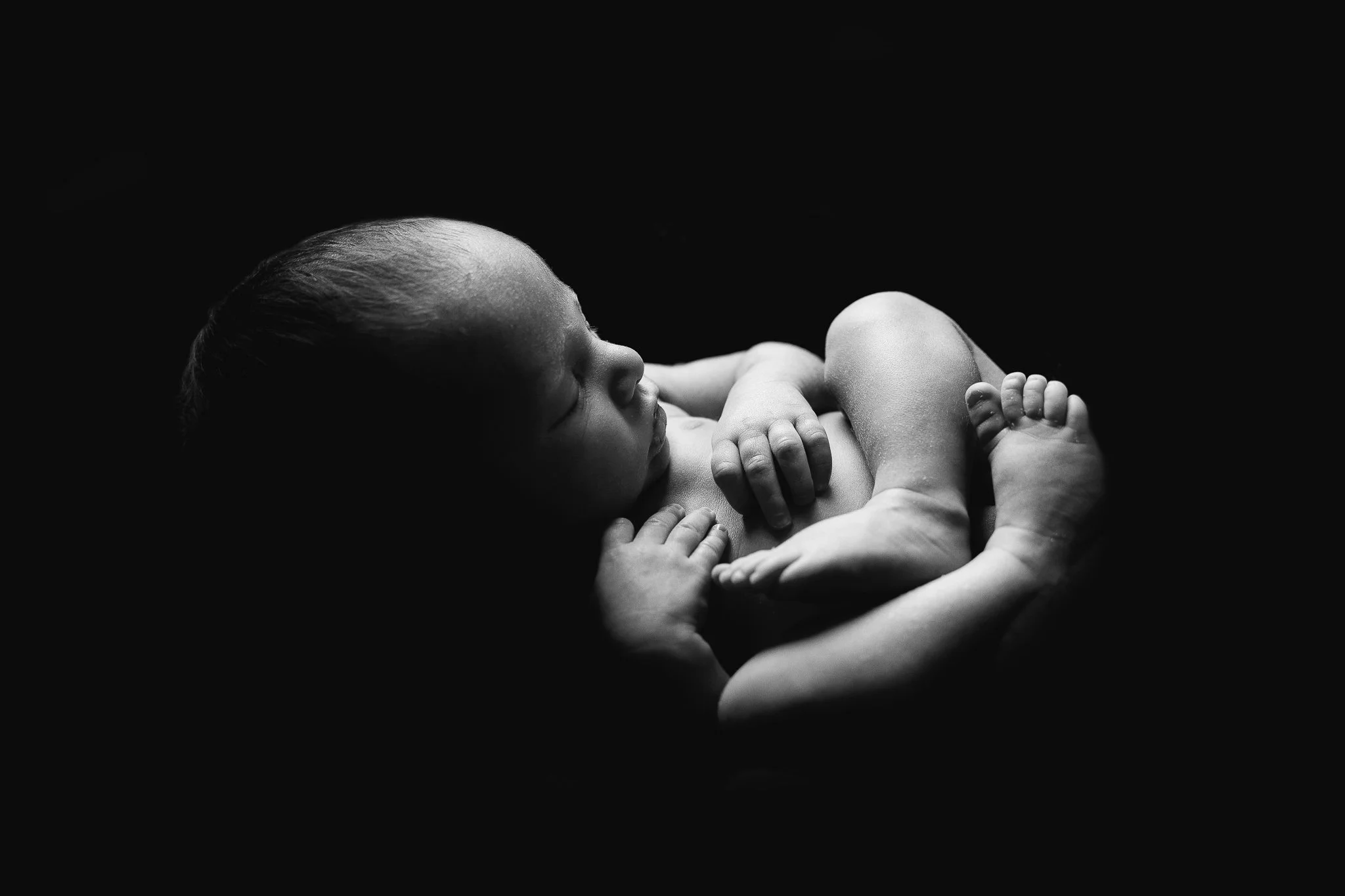 Albuquerque-Photographer-Newborn-Falling-Star-Photography-007.jpg