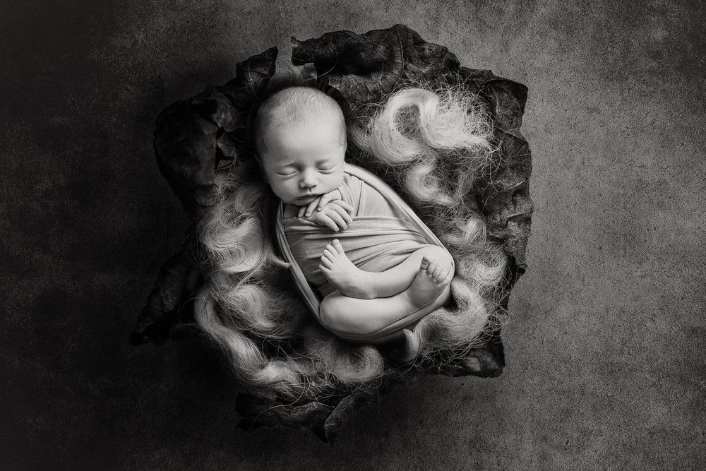 Albuquerque-Photographer-Newborn-Falling-Star-Photography-011.jpg