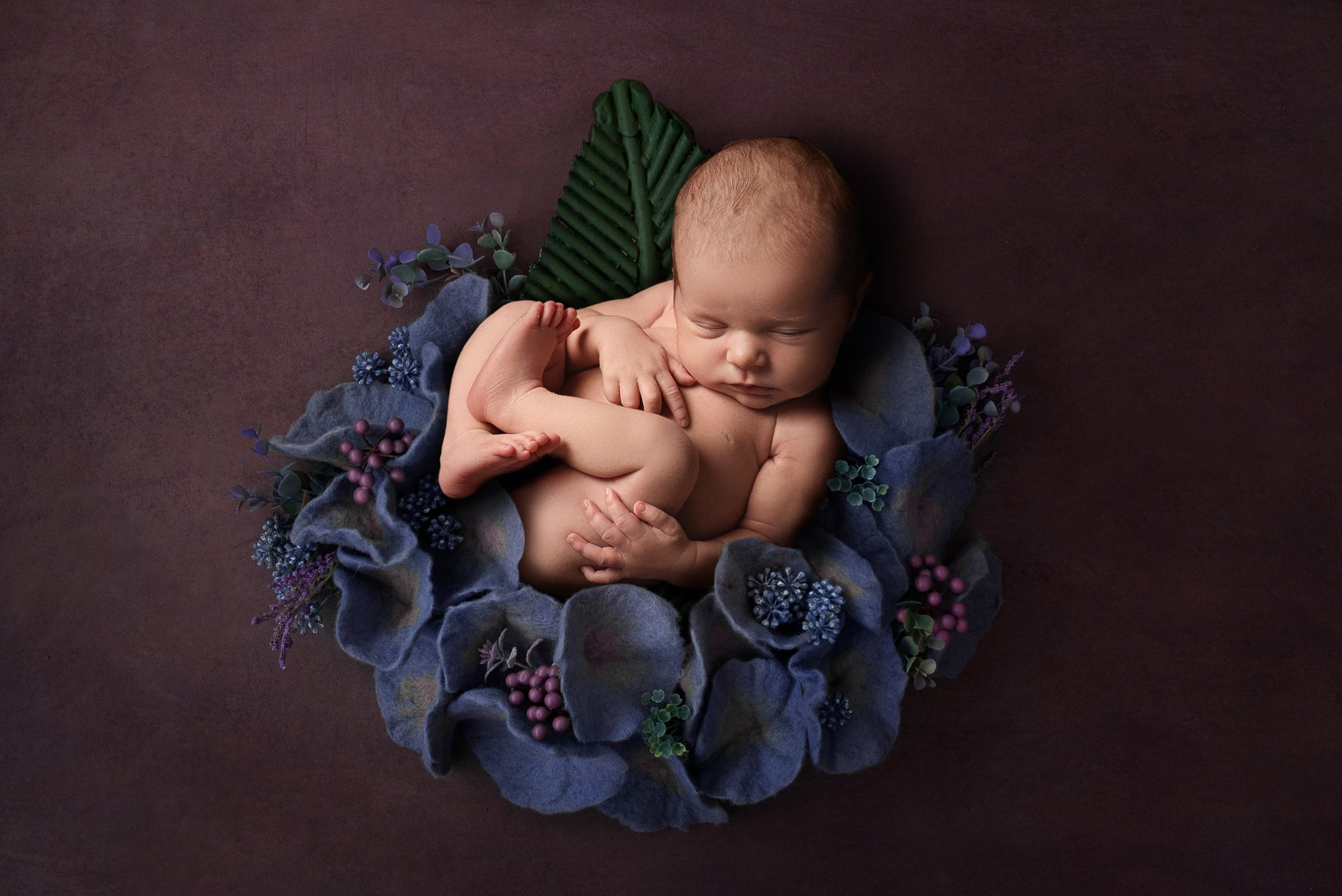 Albuquerque-Photographer-Newborn-Falling-Star-Photography-009.jpg