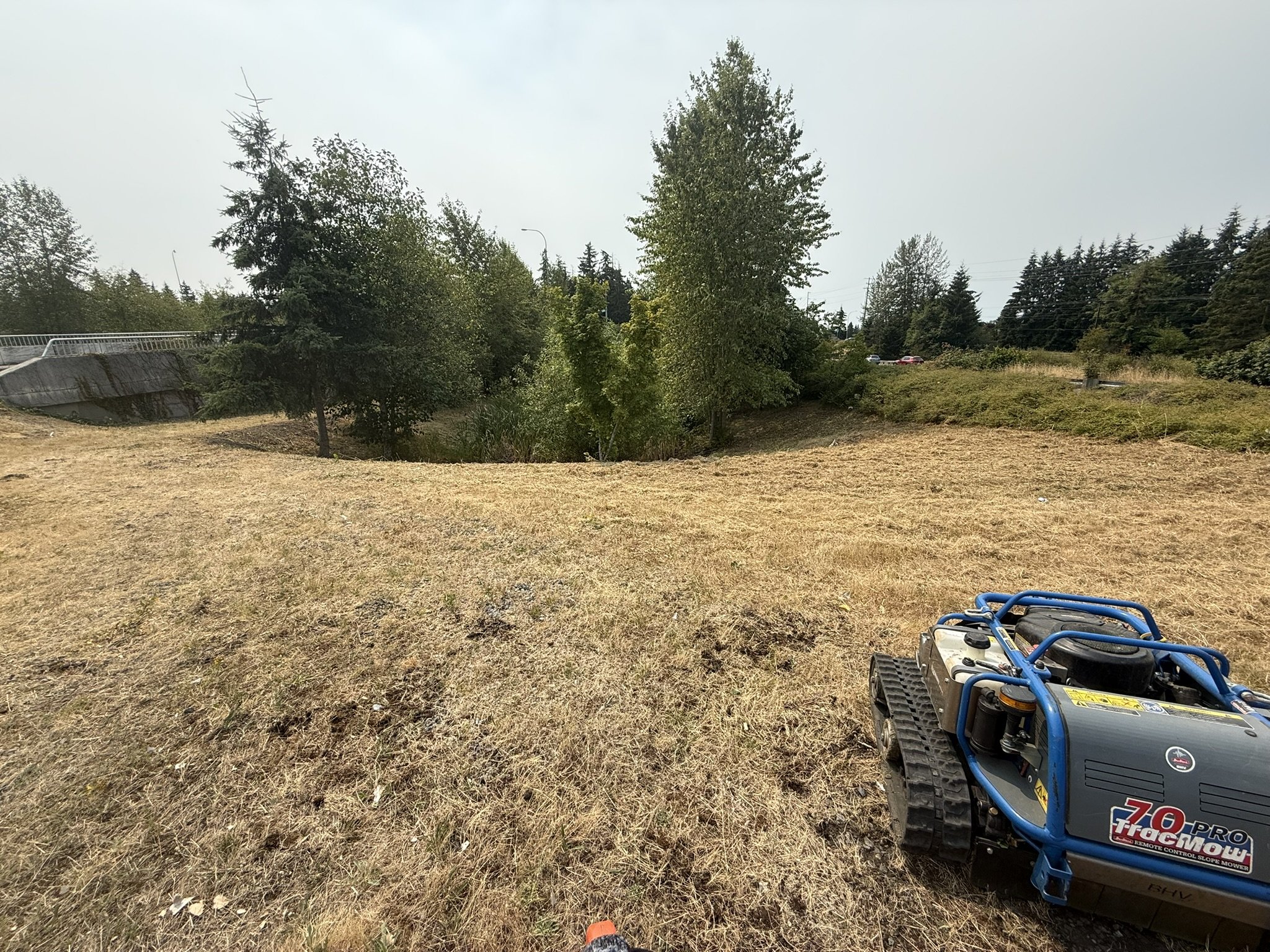 A yard with dry grass and several trees, with a power tool in the foreground.