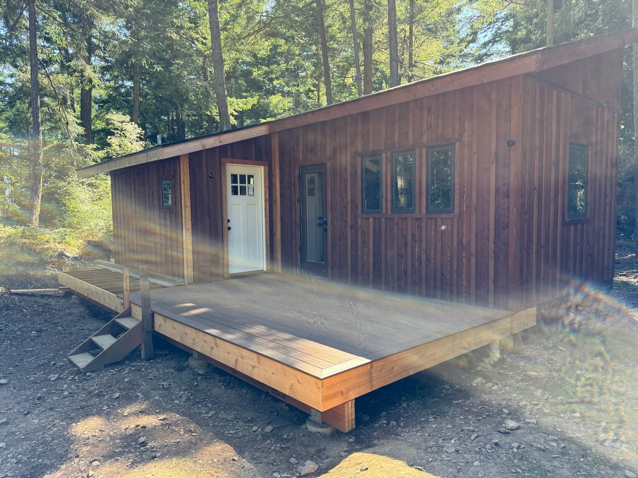 Wooden cabin in a forest with tall trees, small windows, and plastic sheeting over the door, with a small wooden porch and steps leading up to it.