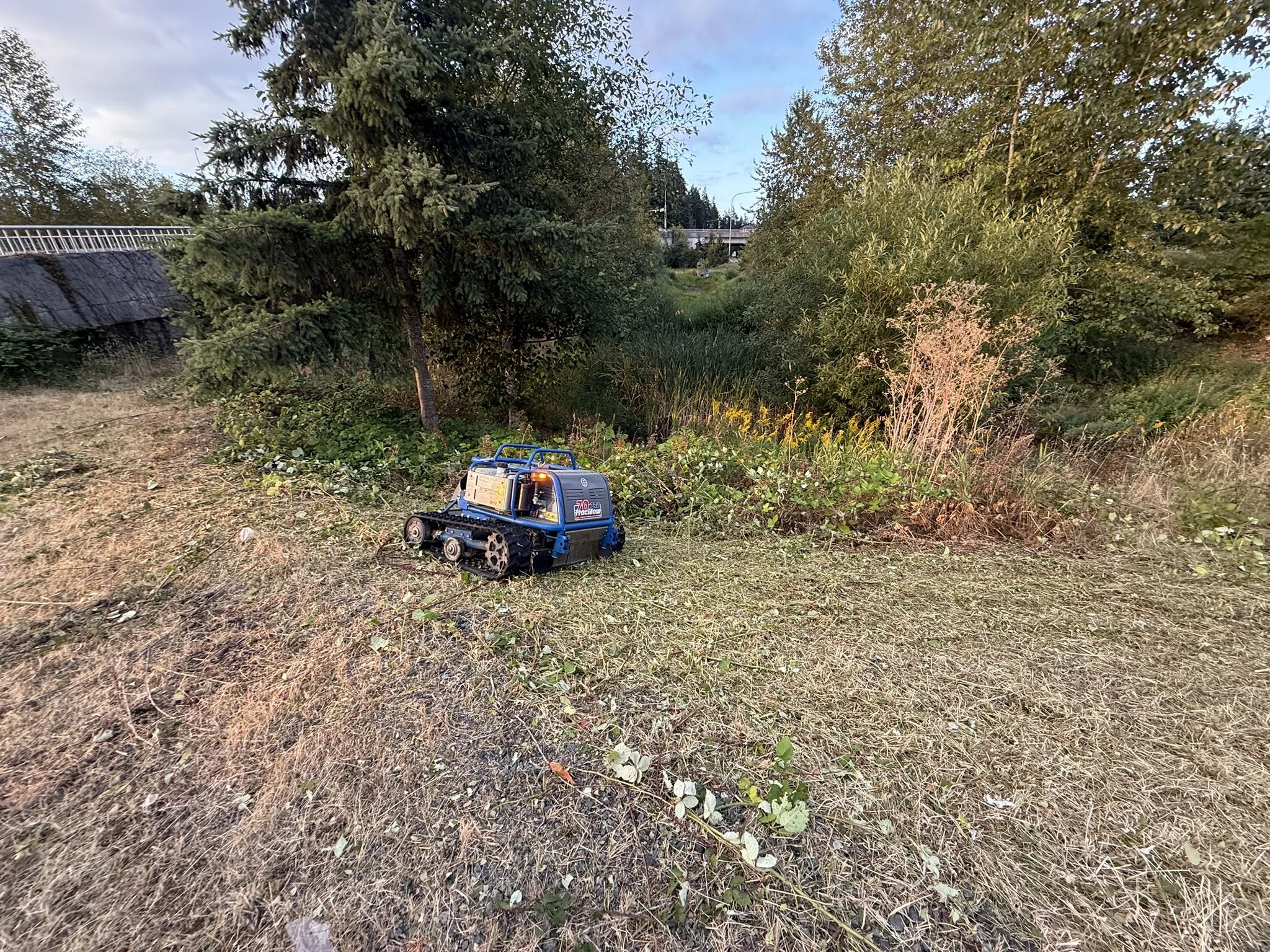 A blue remote-controlled slope mower on a patch of dirt and grass with trees and a bridge in the background.