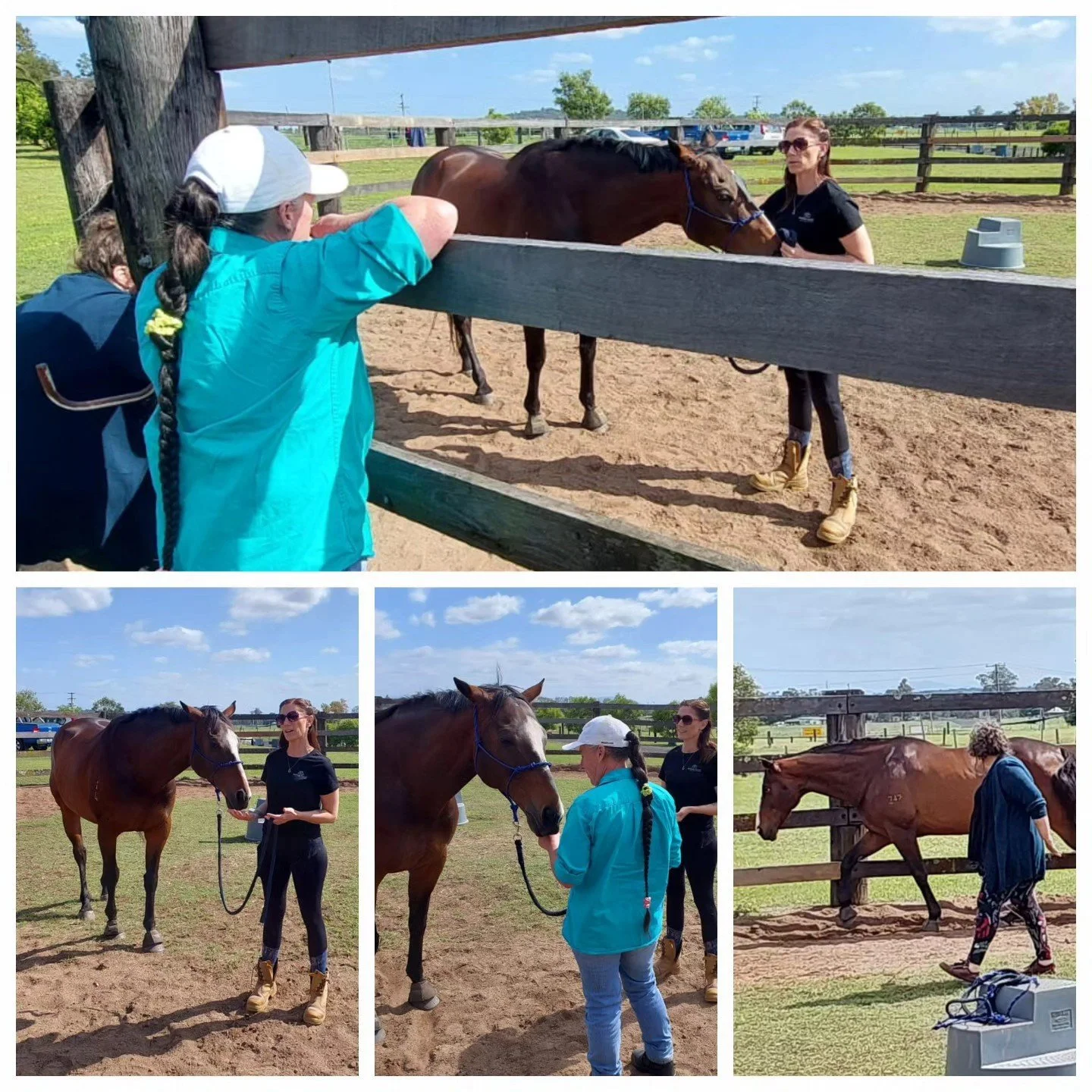 People interacting with horses at a paddock on a sunny day, including women and children standing near horses and a woman leading a horse.