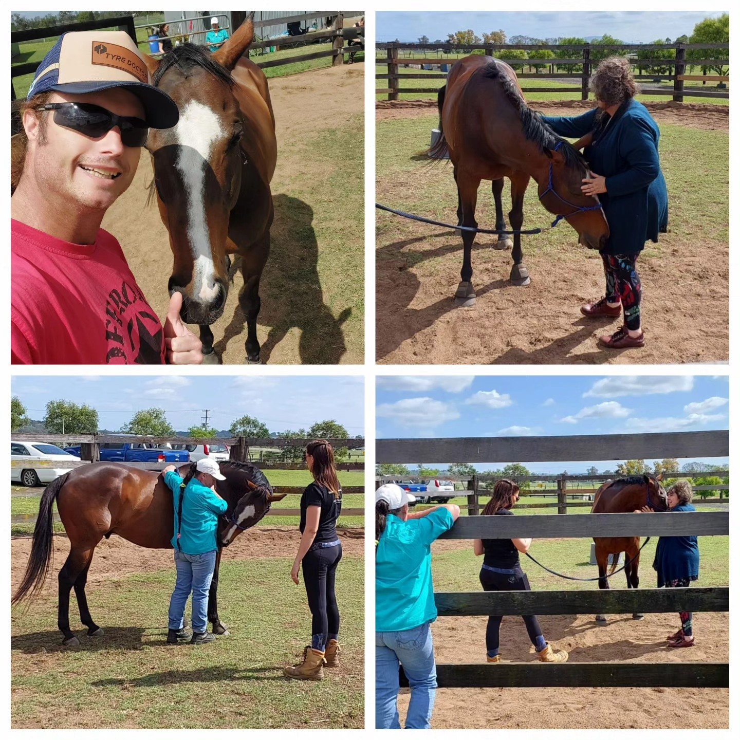 Collage of four photos showing people interacting with horses at a farm or ranch. In the top left, a man with sunglasses and a red shirt is smiling next to a brown and white horse. In the top right, a woman in a blue jacket is petting a brown horse i