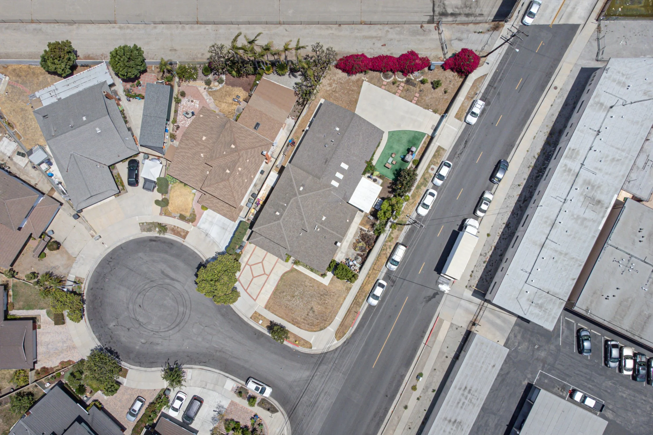 54-16610-Delia-Torrance-2250.jpg