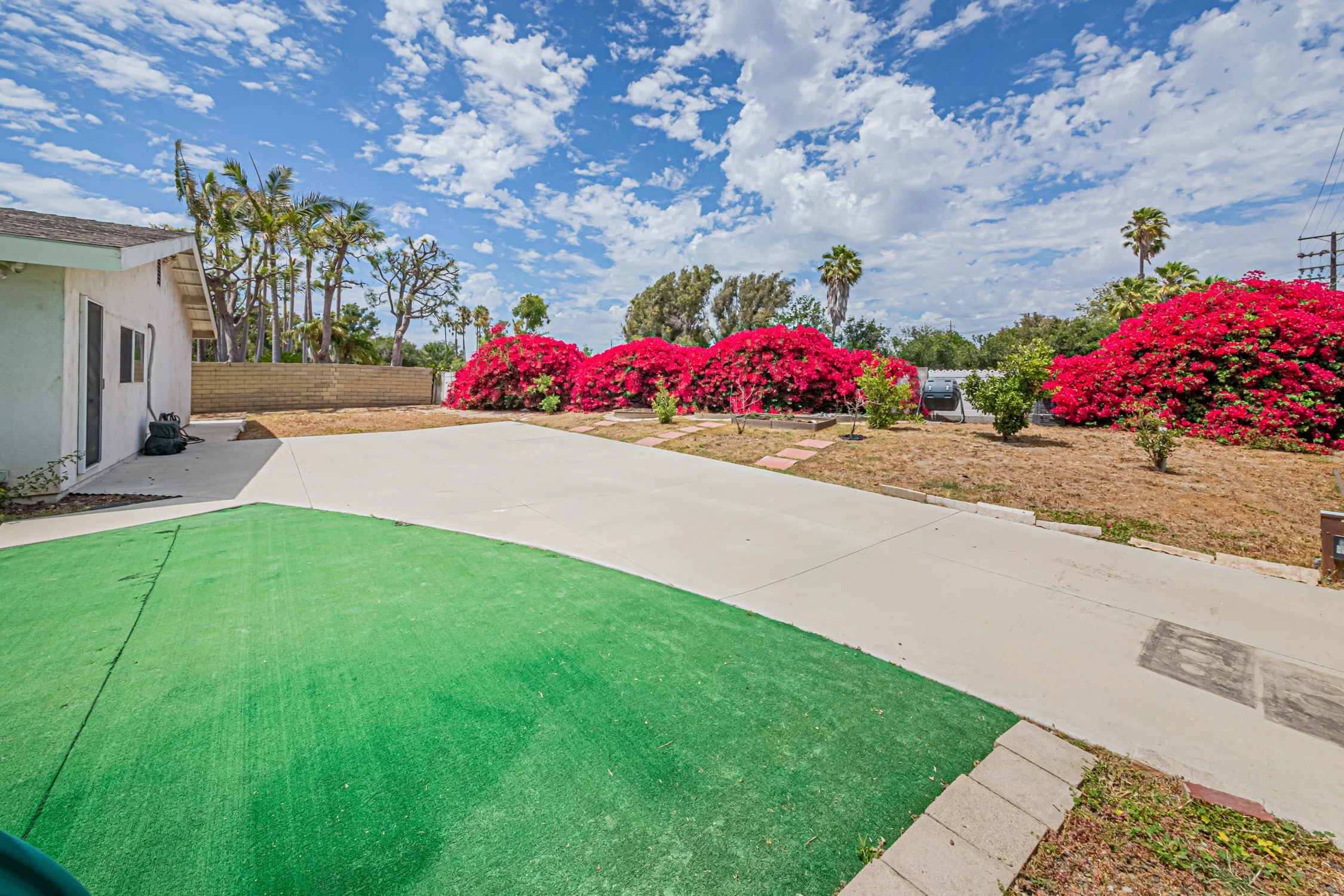 48-16610-Delia-Torrance-2250.jpg