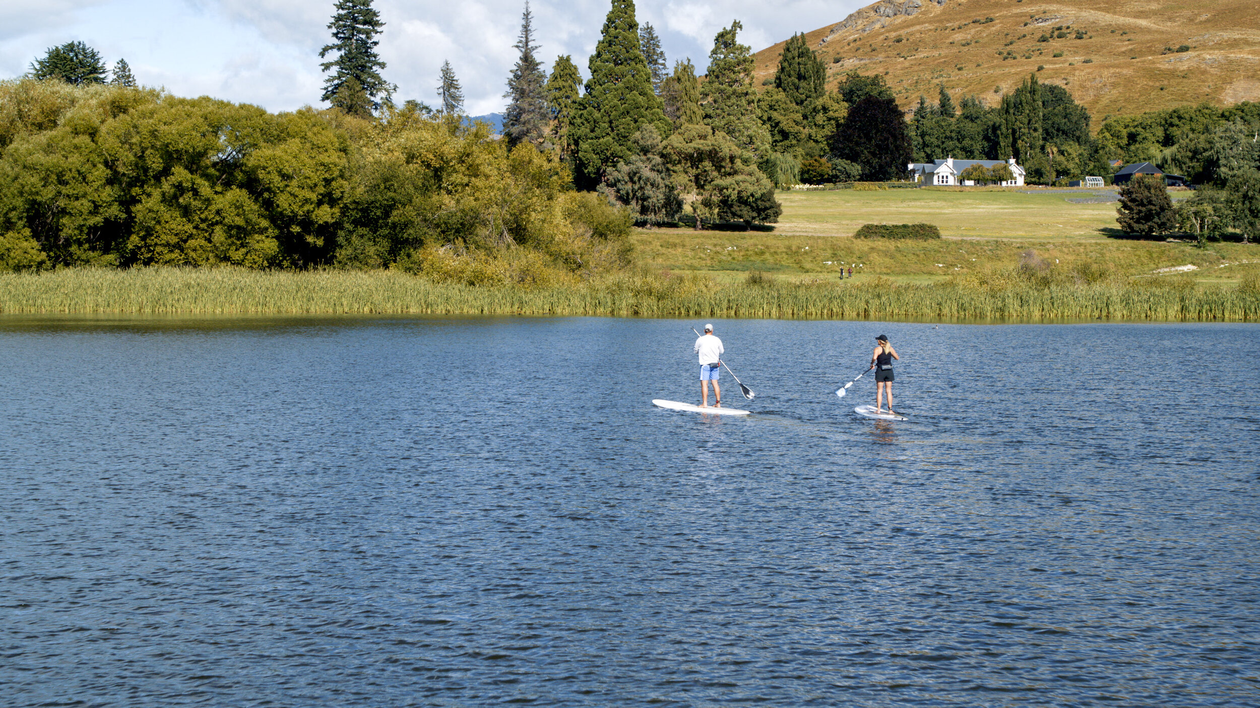 Take the paddle boards and kayaks out on to Lake Hayes to check out the local birdlife