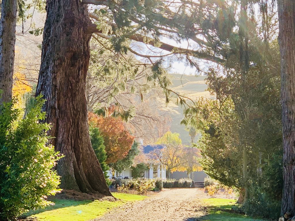 The property has over two hundred listed heritage trees and 100 plus year old Giant Wellingtonia line The Avenue to the property.