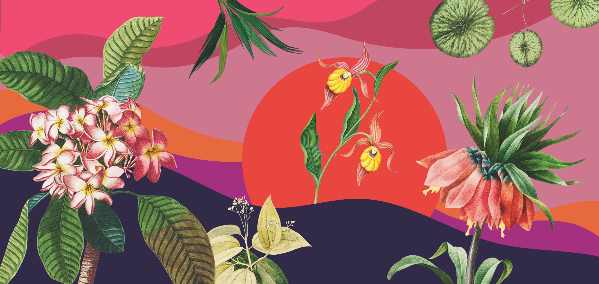 A collage of botanical plants and vibrant colorful shapes.