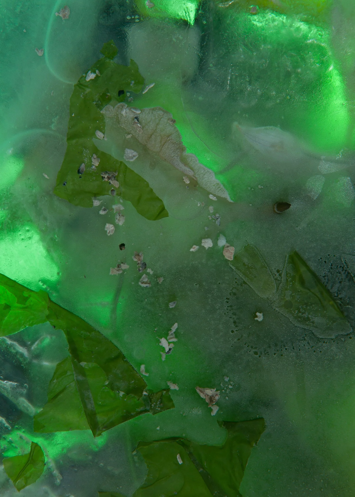 cherry-archer-ice-tile-photographer