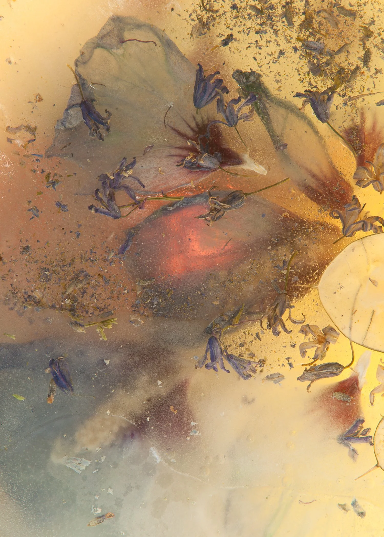 cherry-archer-ice-tile-photographer