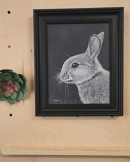 Bunny_new_frame.jpg