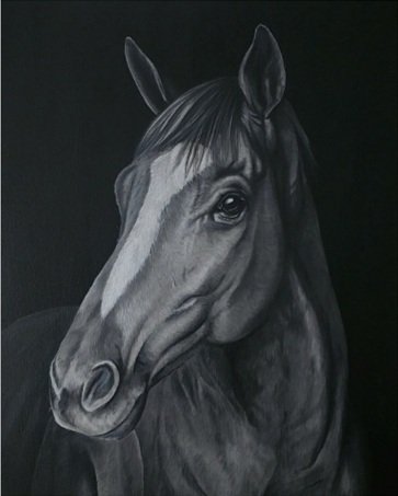 Portrait of a Horse No.1