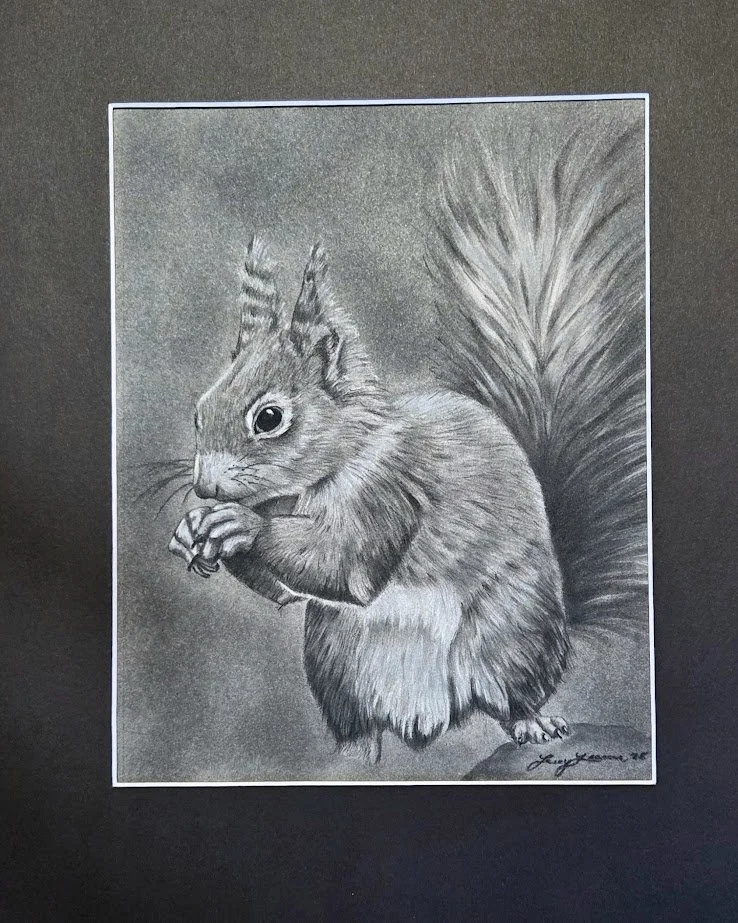 Squirrel Portrait No.1_1.jpg