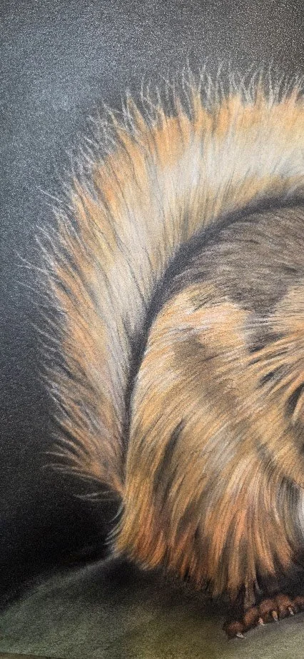 Squirrel Portrait No.2_3.jpg