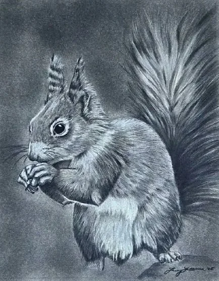 Squirrel+Portrait+No.1.jpg