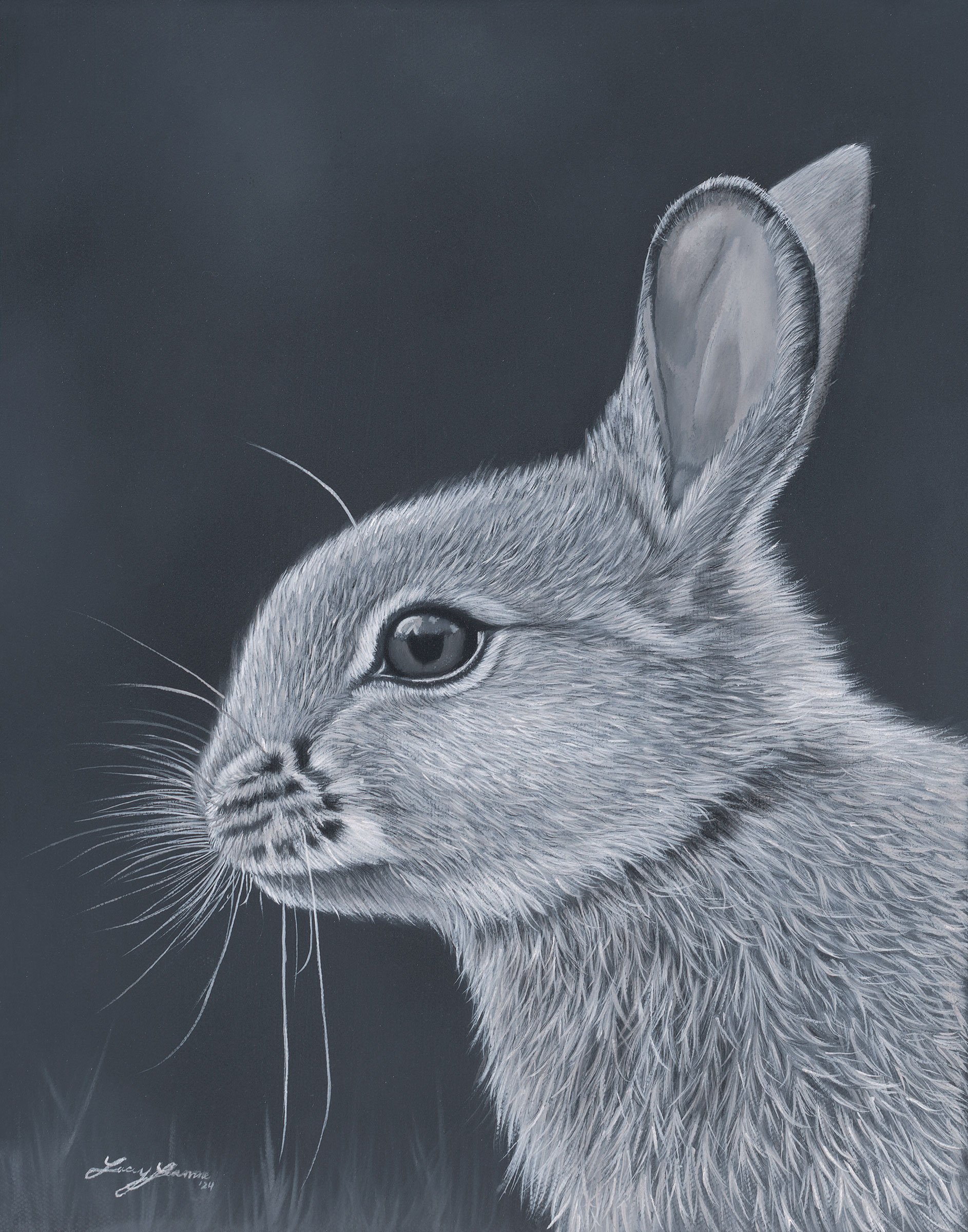 Bunny_Scan.jpg