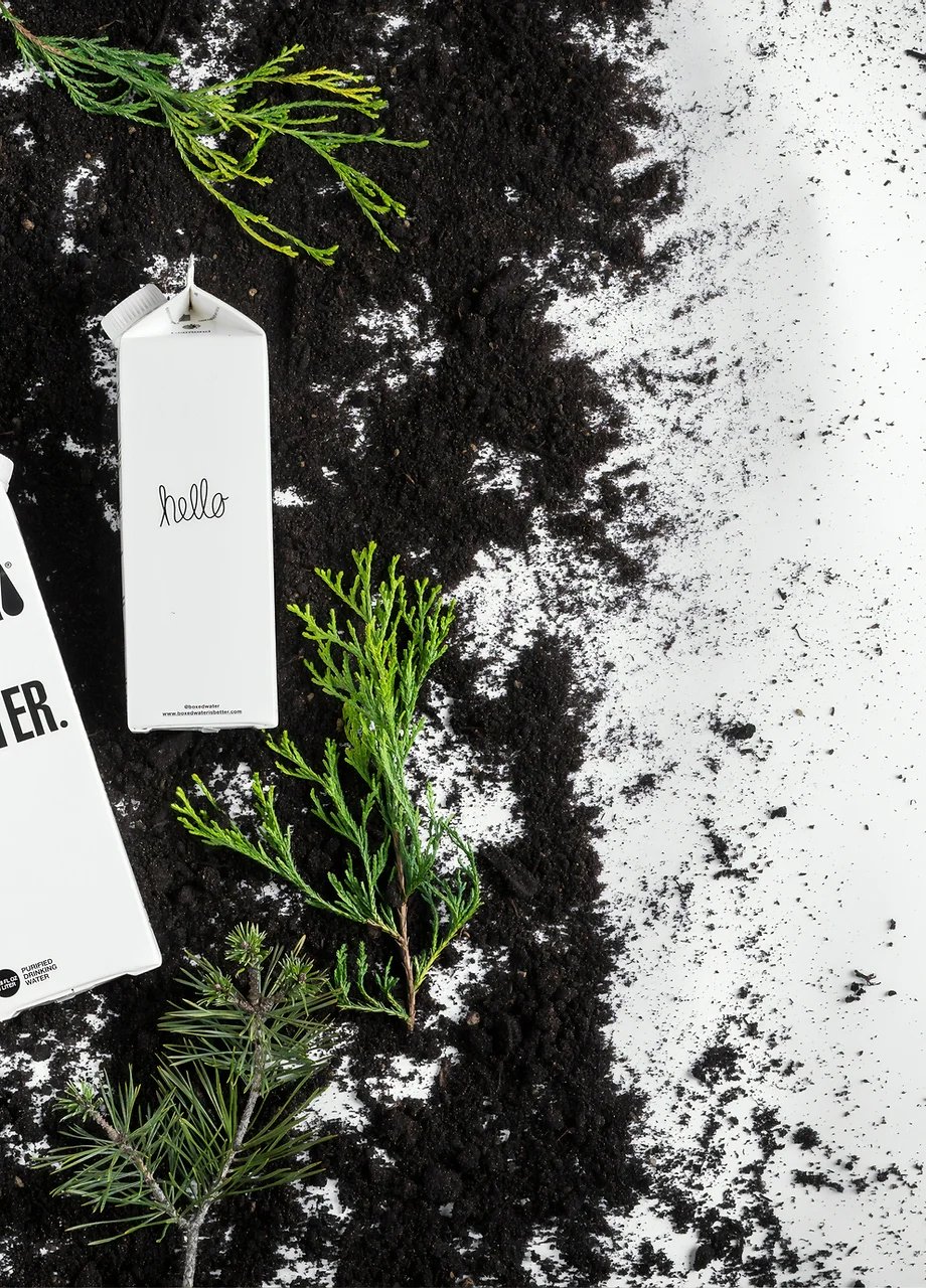Biodegradable Vs Degradable