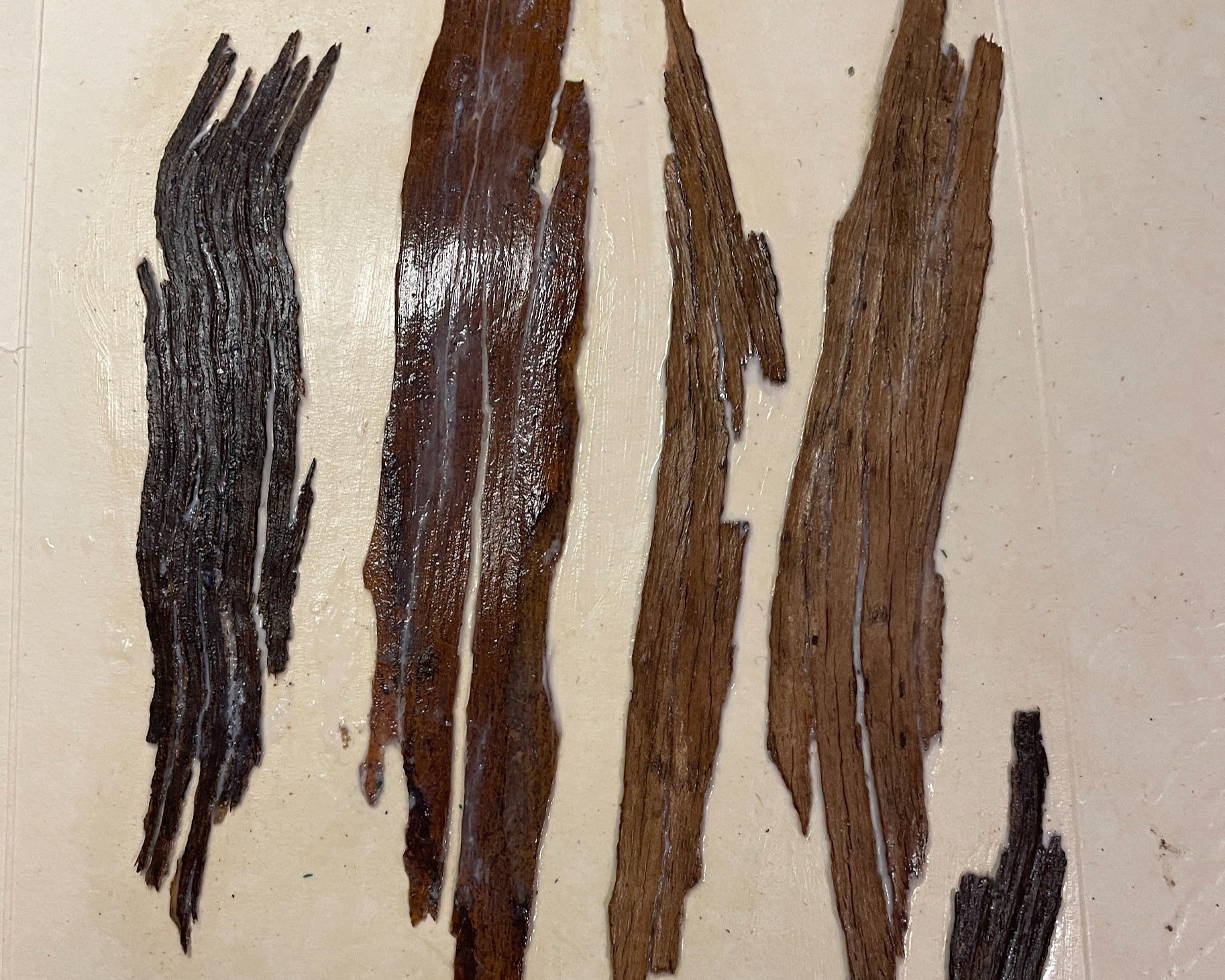 Bark
