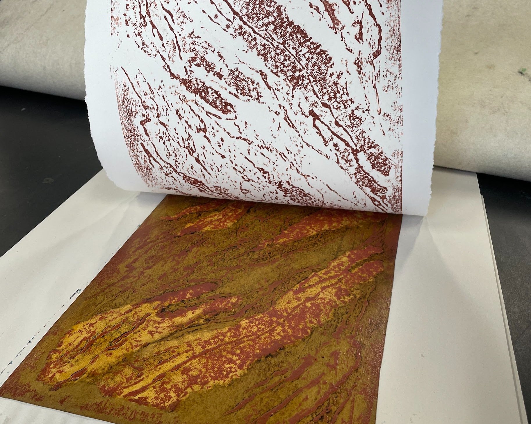 Another test plate - I’d made this one with glue painting, collaging scraps of textured paper, then drawing glue from the nozzle to replicate tree bark. Here I test printed in relief (previous test as a blind emboss and intaglio, no photos though).