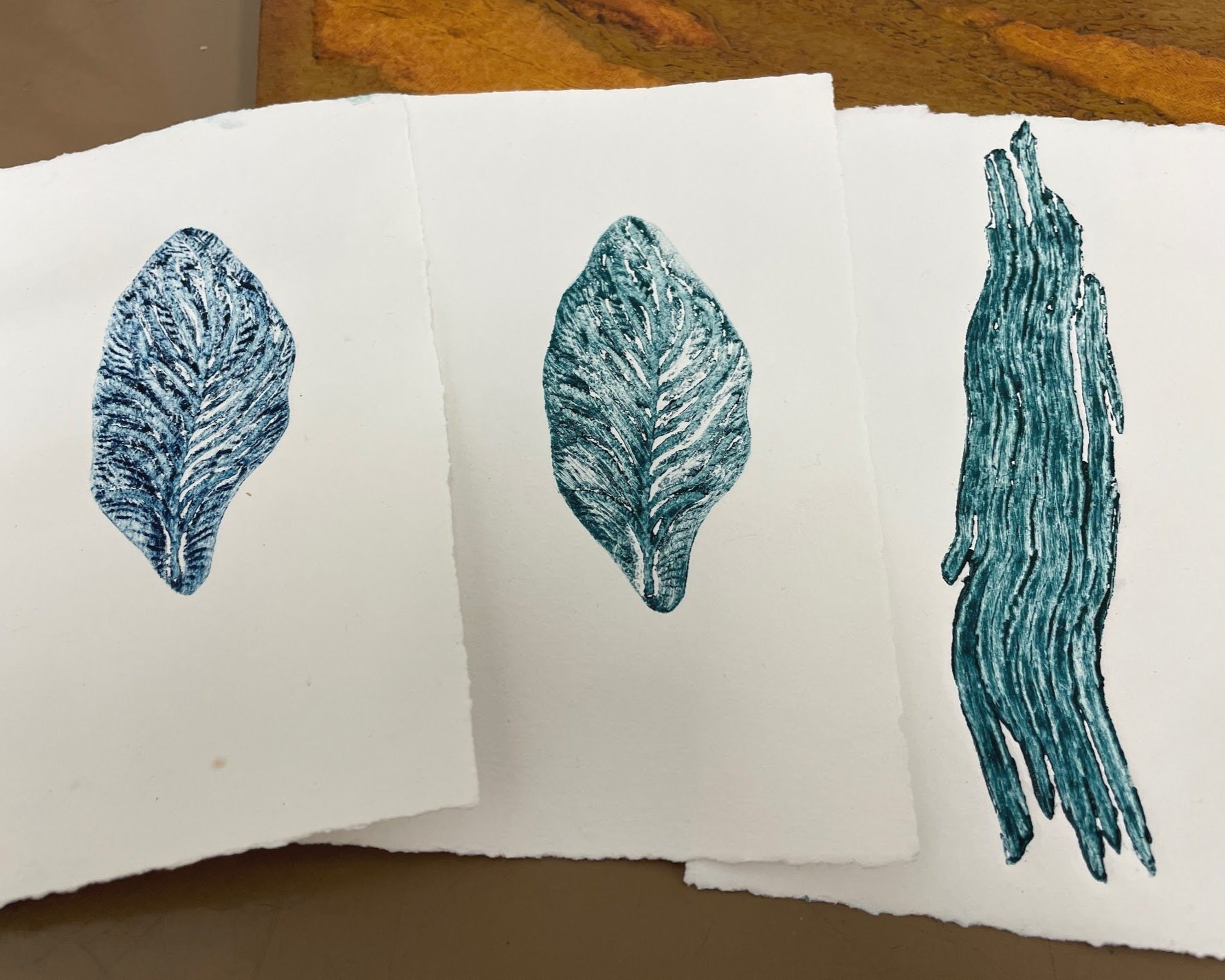A few more tests prints of my plant materials glued to card.