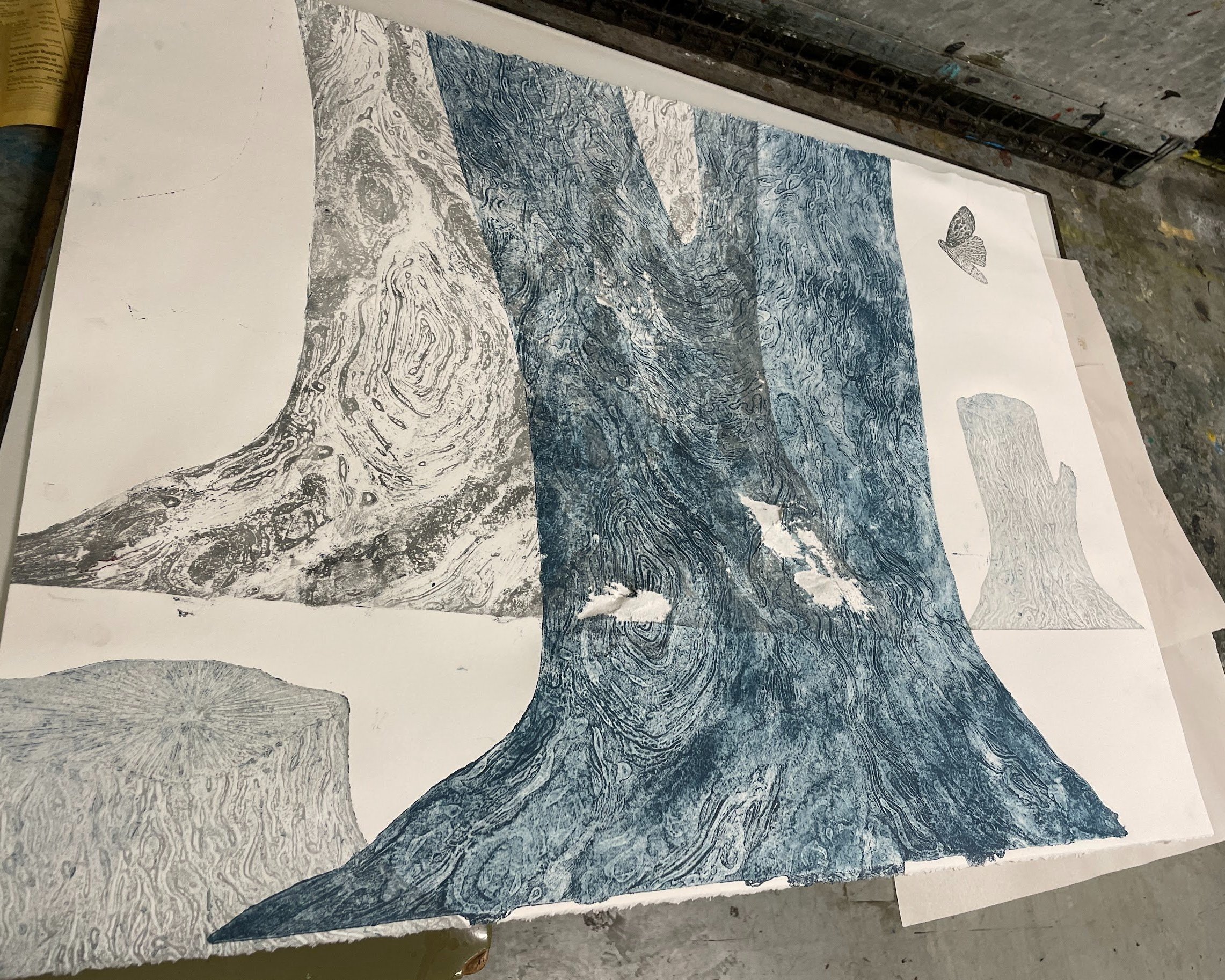 Trialling printing over my prints