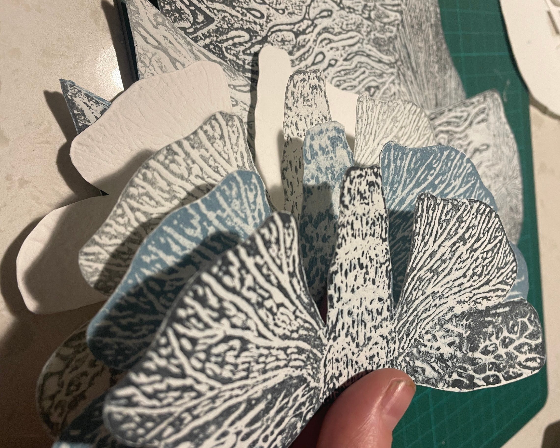 Thinking about other ways of displaying the moths to create depth and dimension in work.
