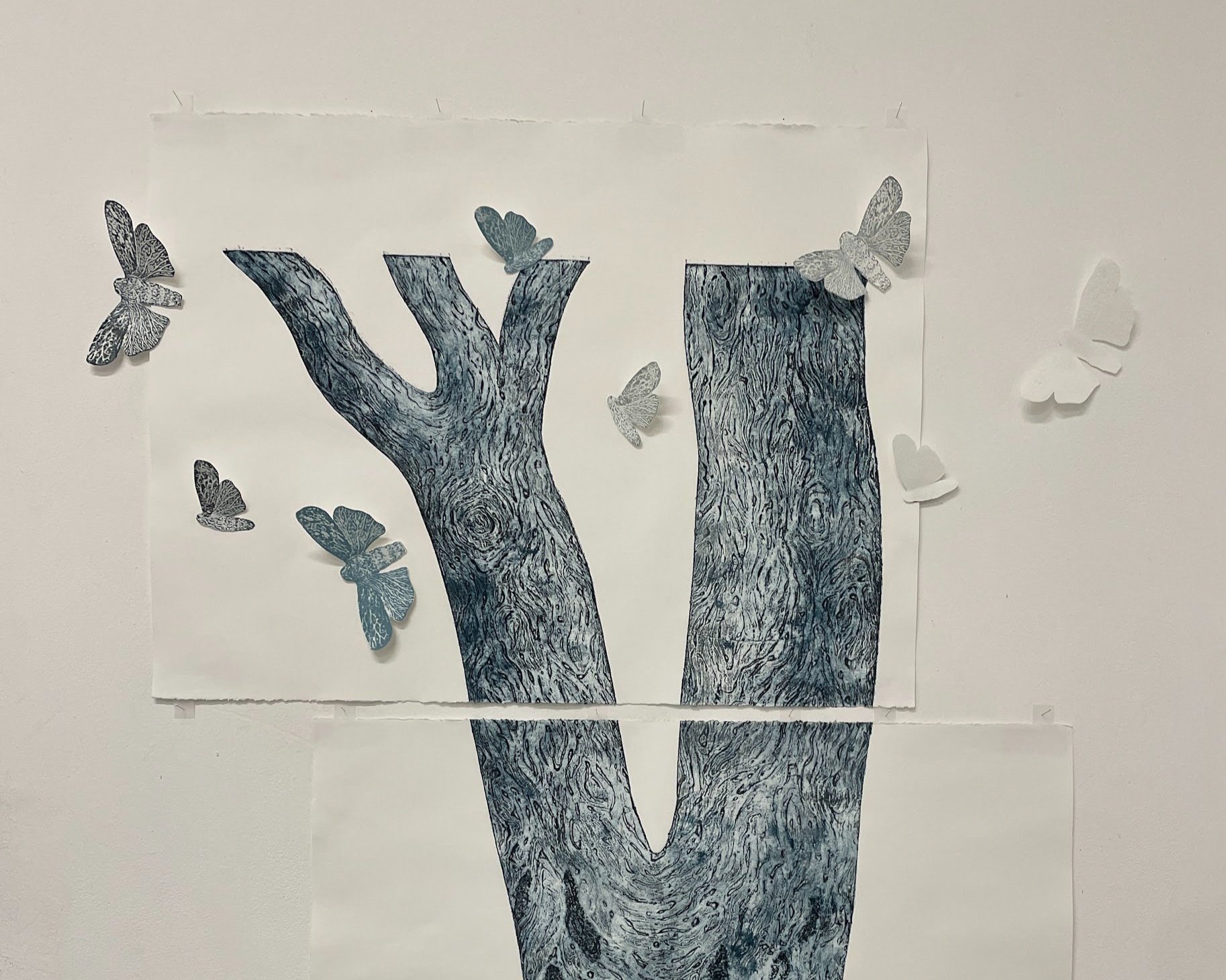 A possible layout for the Bogong moths