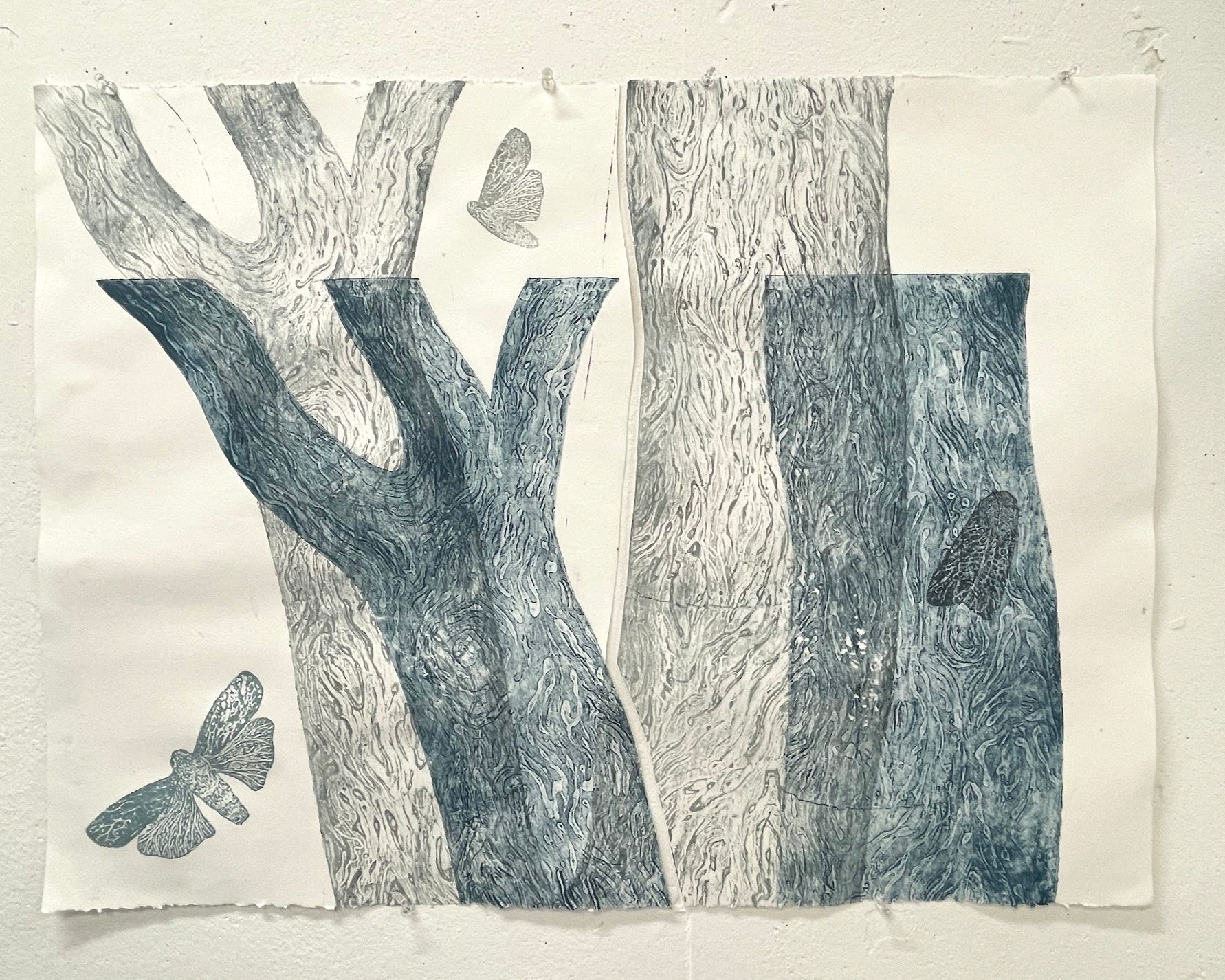 Experimental print