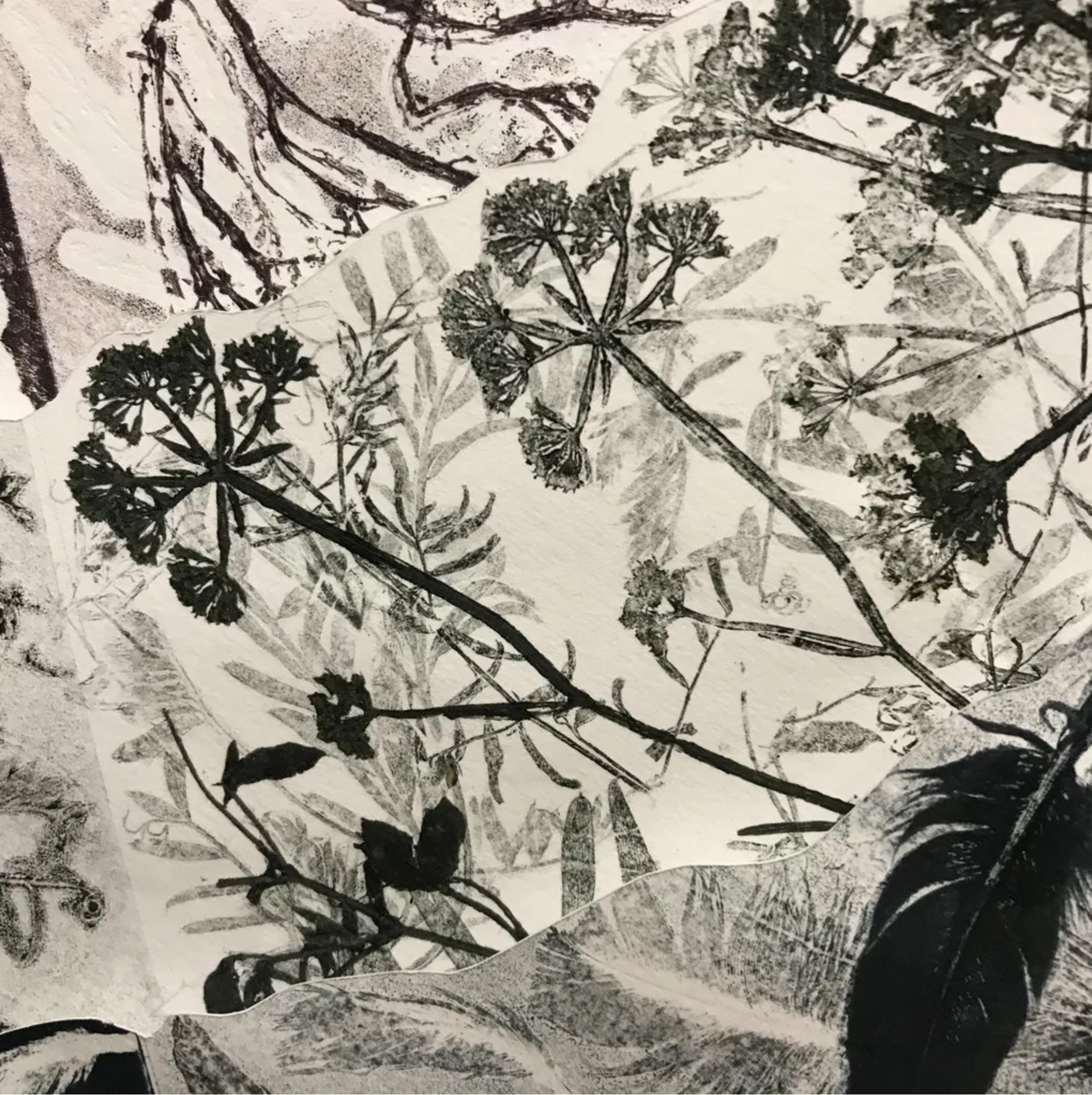 1 Monoprint: Collecting inspiration, materials and ideas