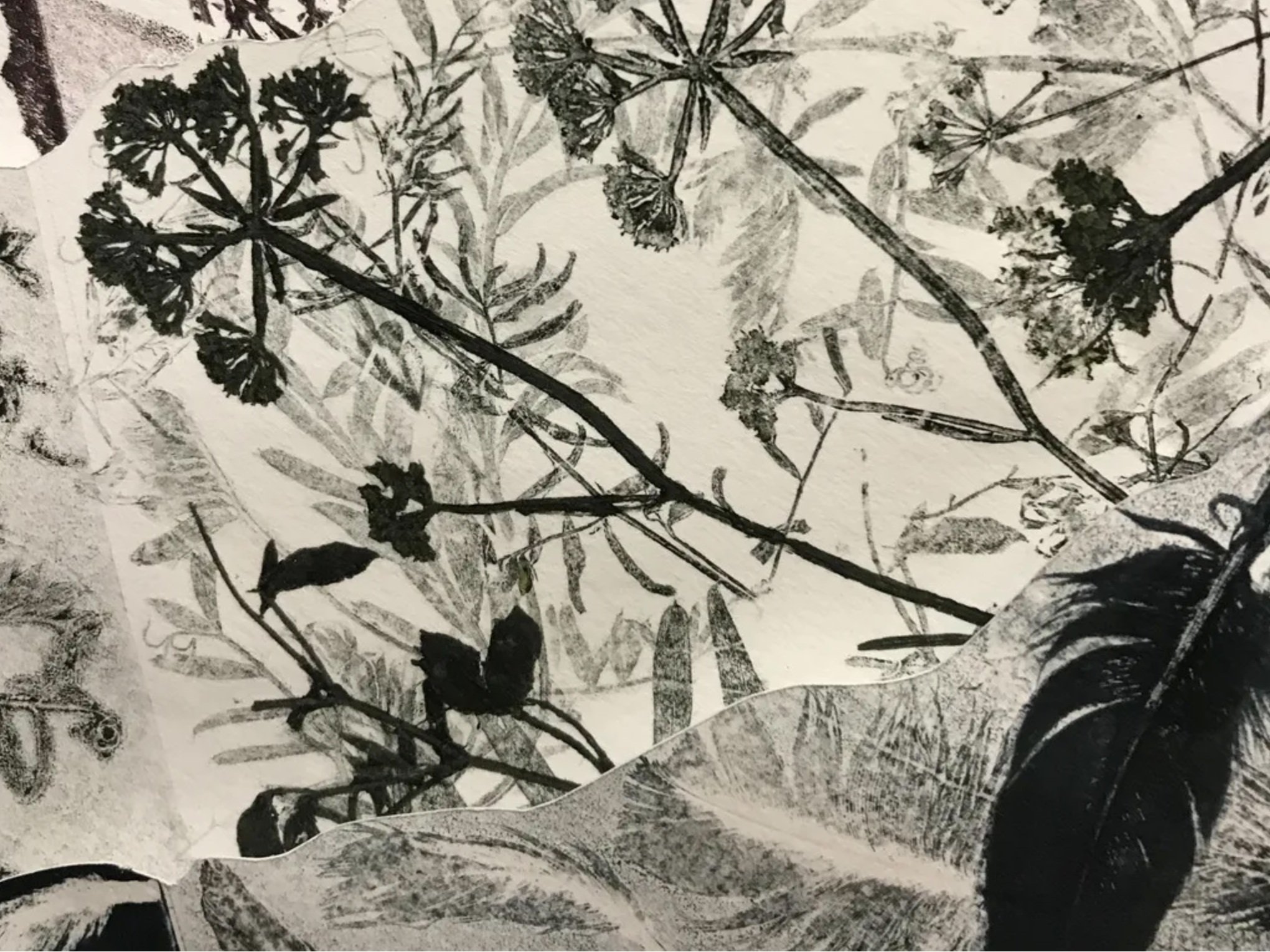 'Balance' Monoprint by Monique Day-Wilde