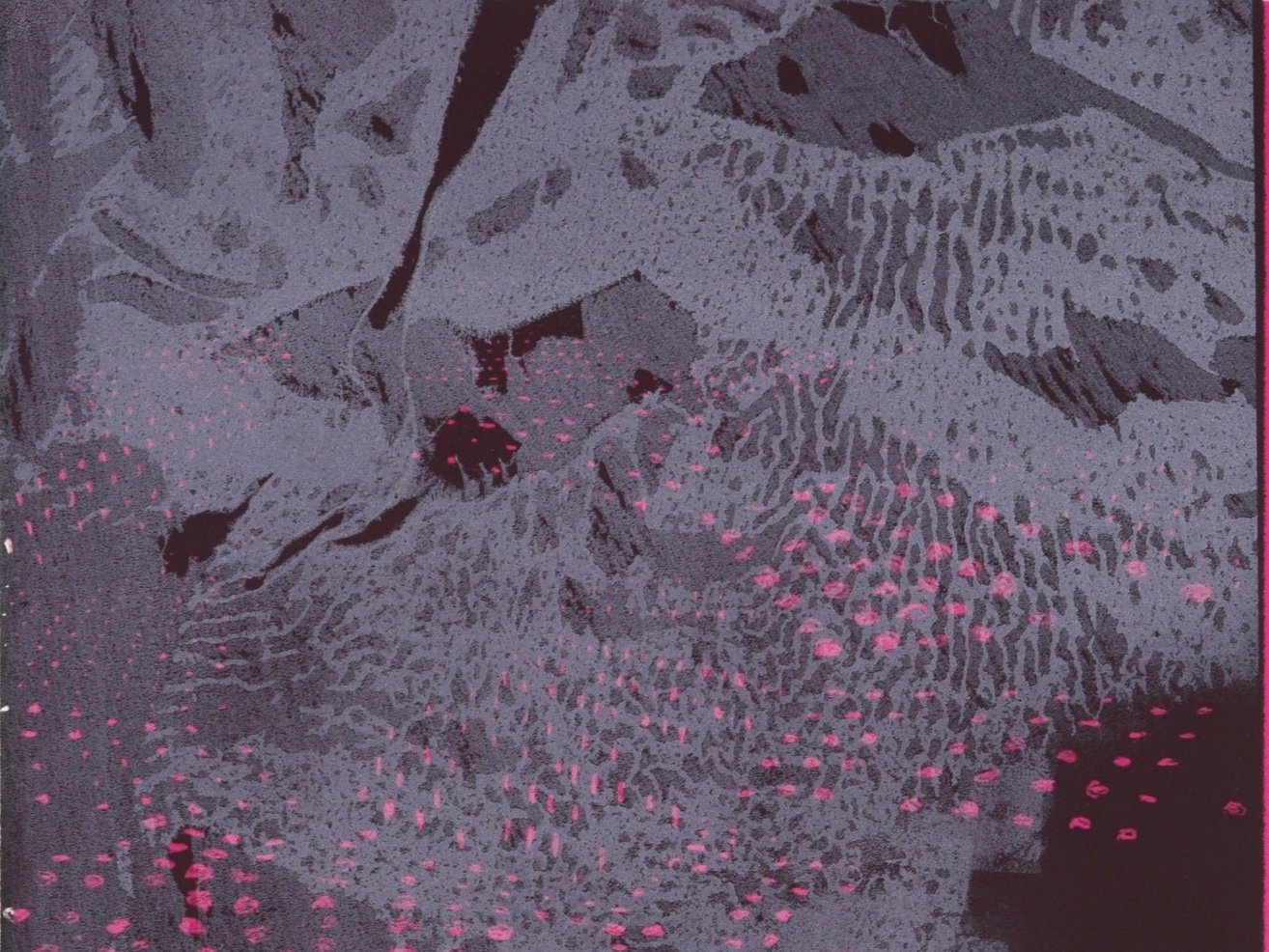 'Organised I' Monotype by Karin Daymond