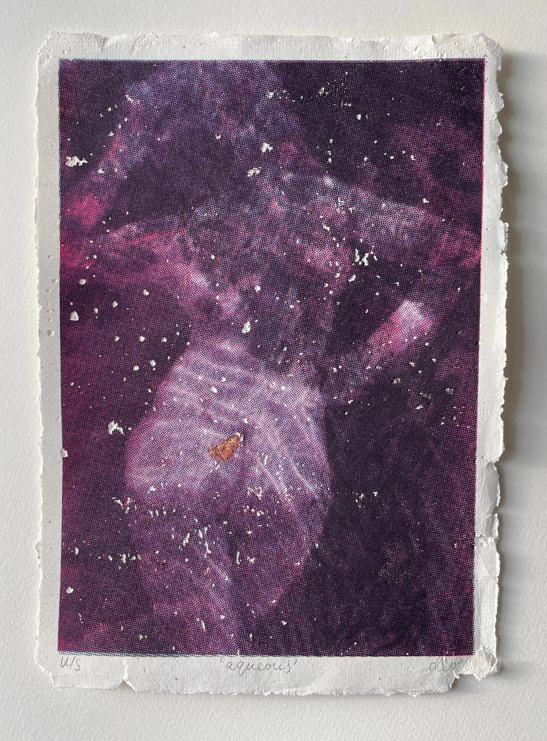 Aqueous 2023, Unique state screenprint on paper handmade by 'Dodgy Paper'